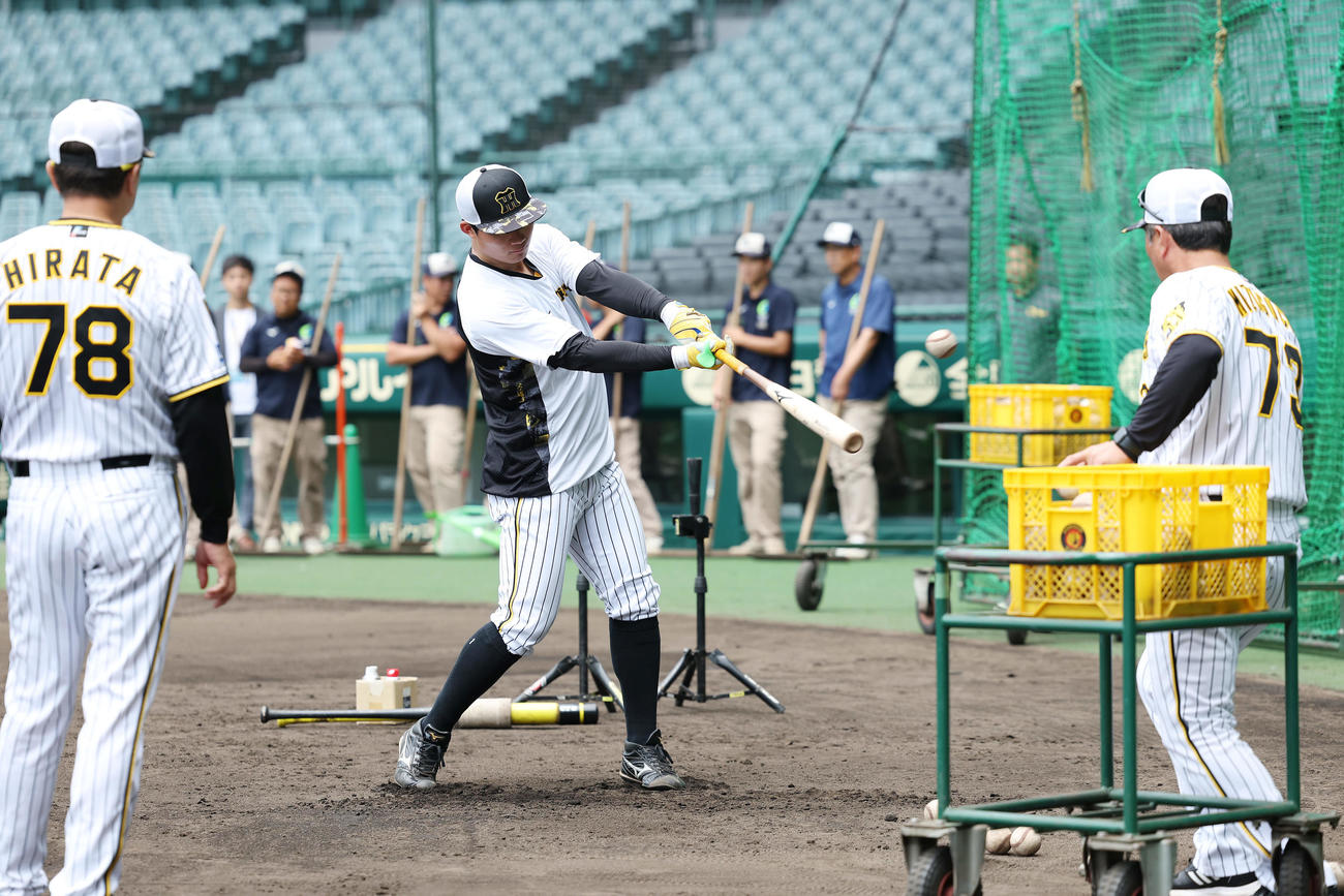 阪神対DeNA　フリー打撃後にティー打撃を行う阪神森下。左は見守る平田ヘッドコーチ、右は水口打撃コーチ（撮影・前田充）