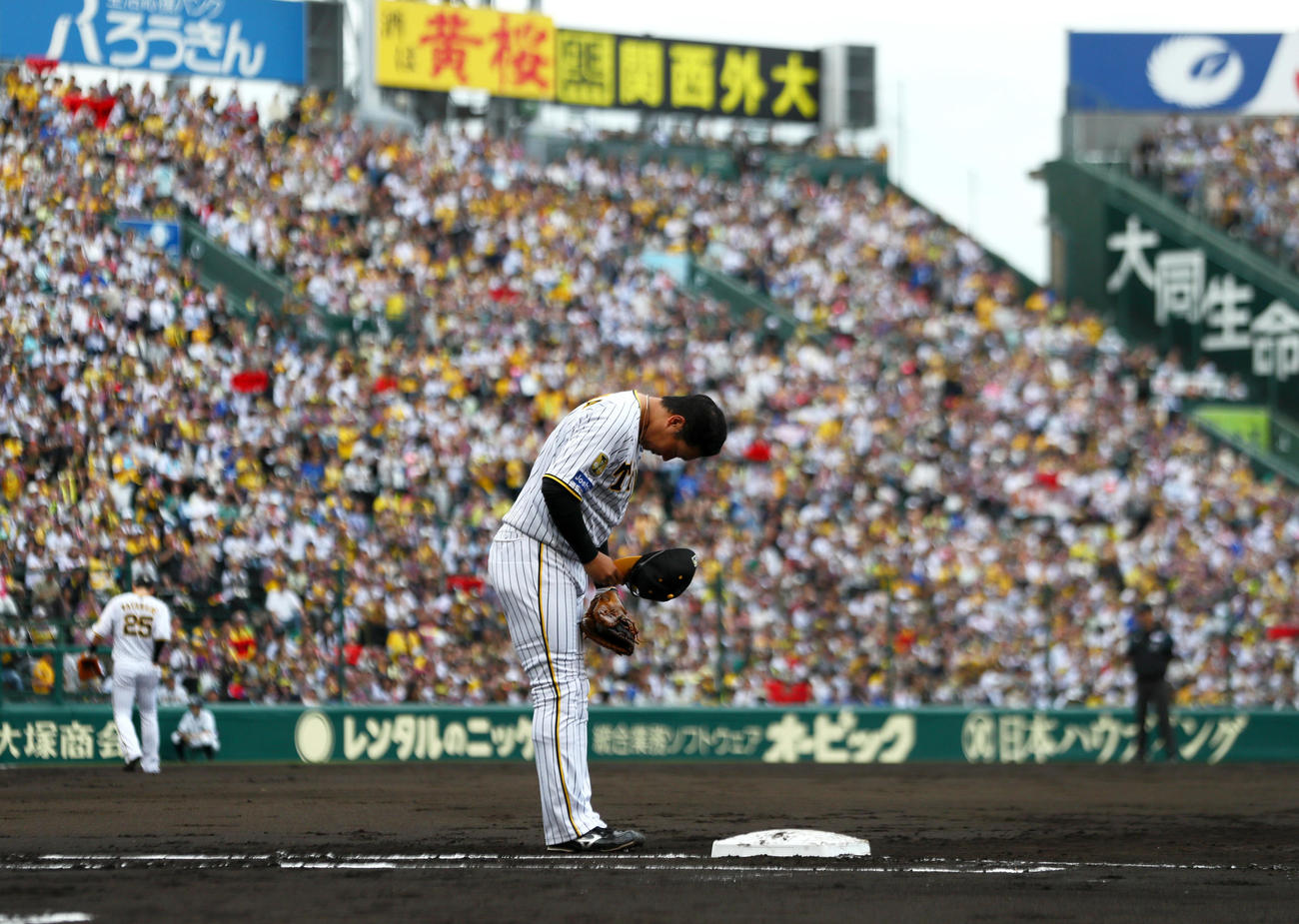 阪神対DeNA 2回裏、先制左越えソロ本塁打を放った阪神大山は守備につきスタンドのファンに一礼する（撮影・上山淳一）