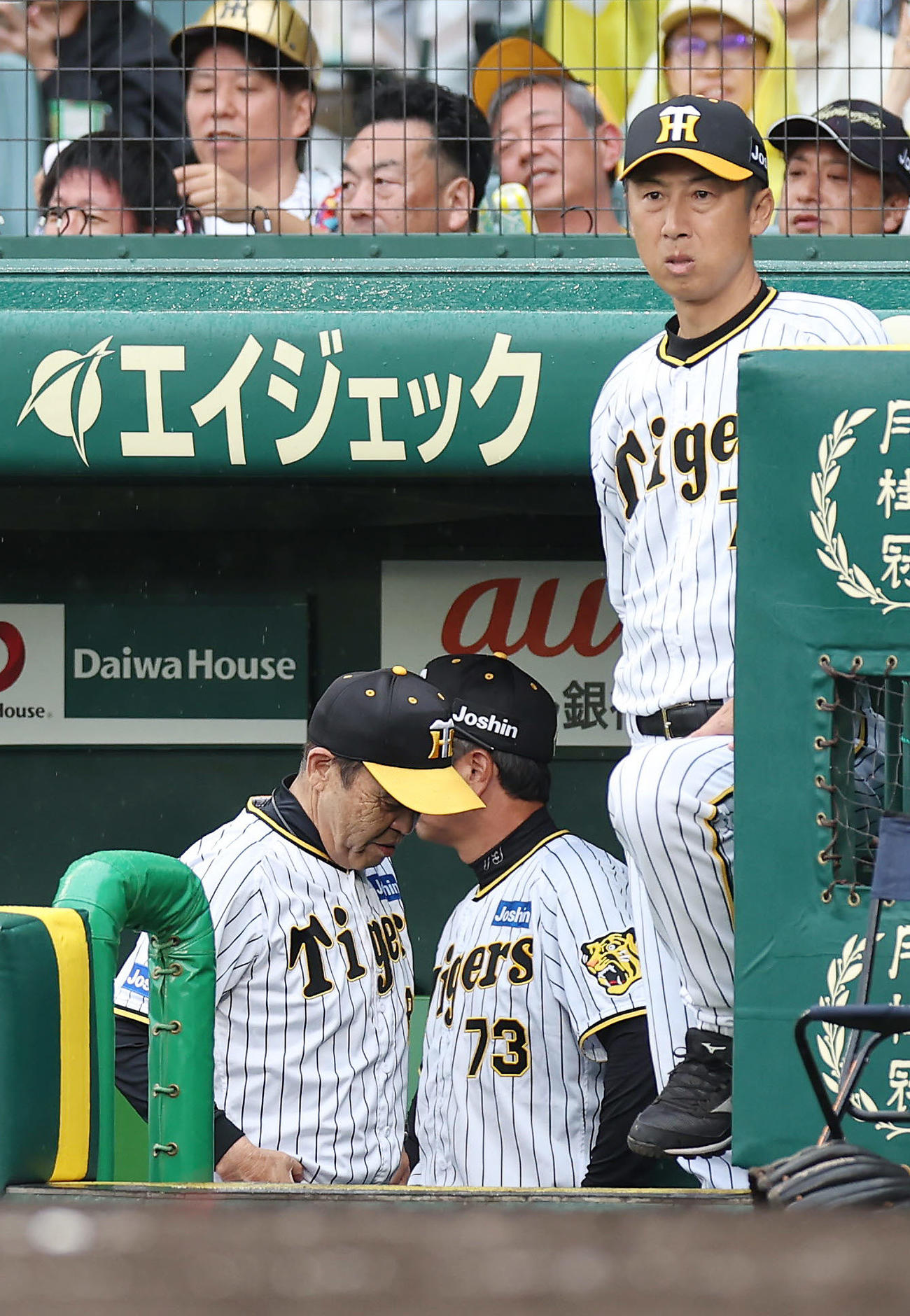 阪神対DeNA 9回裏阪神2死、大山が遊飛に倒れ試合終了となり、うつむきながら引き揚げる岡田監督（左）。右は今岡打撃コーチ（撮影・前田充）