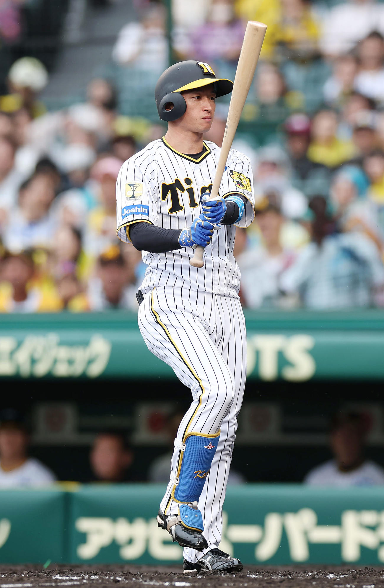 阪神対DeNA 5回裏阪神2死二塁、空振り三振に倒れる近本（撮影・前田充）