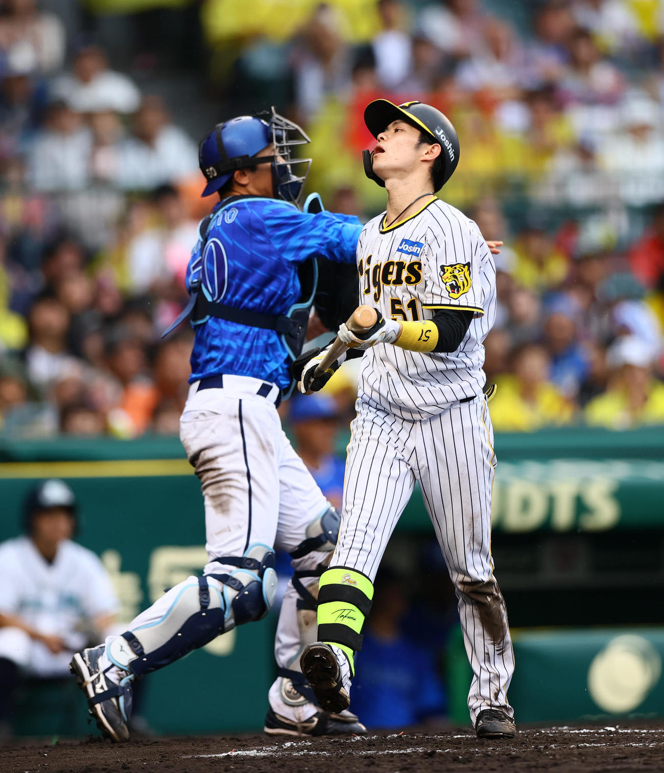 阪神対DeNA 6回裏阪神無死、中野は三振に終わり悔しがる（撮影・上山淳一）