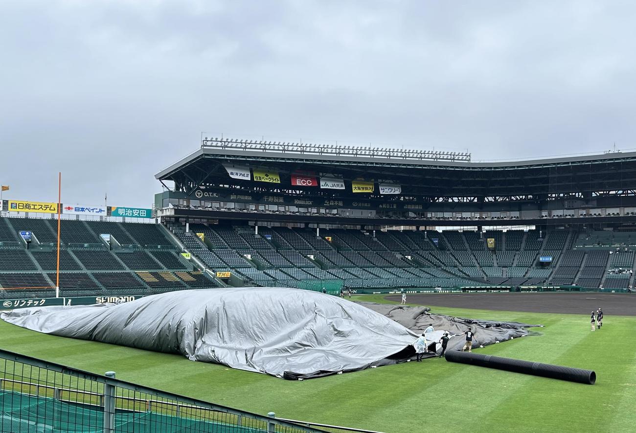 阪神対DeNA中止が決まりグラウンドのシートが外される甲子園球場（撮影・加藤哉）
