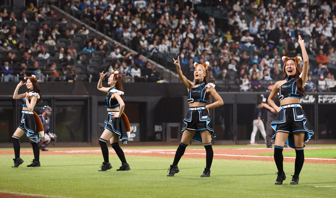 「きつねダンス」を踊るファイターズガール（2024年4月5日撮影）