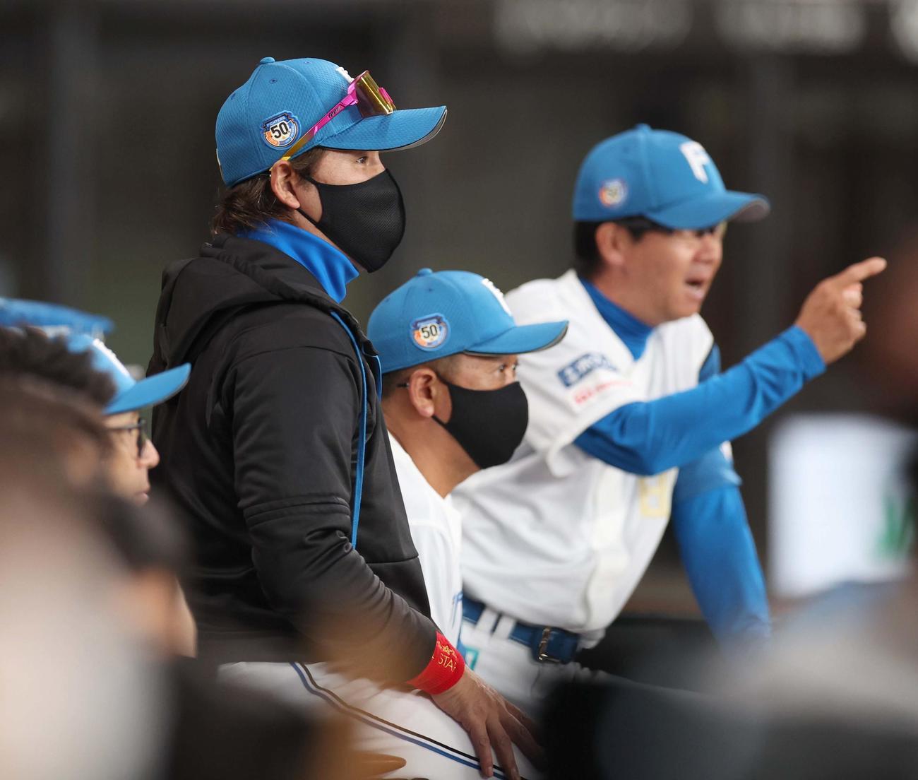 日本ハム対楽天　ベンチで試合を見つめる新庄監督（撮影・黒川智章）
