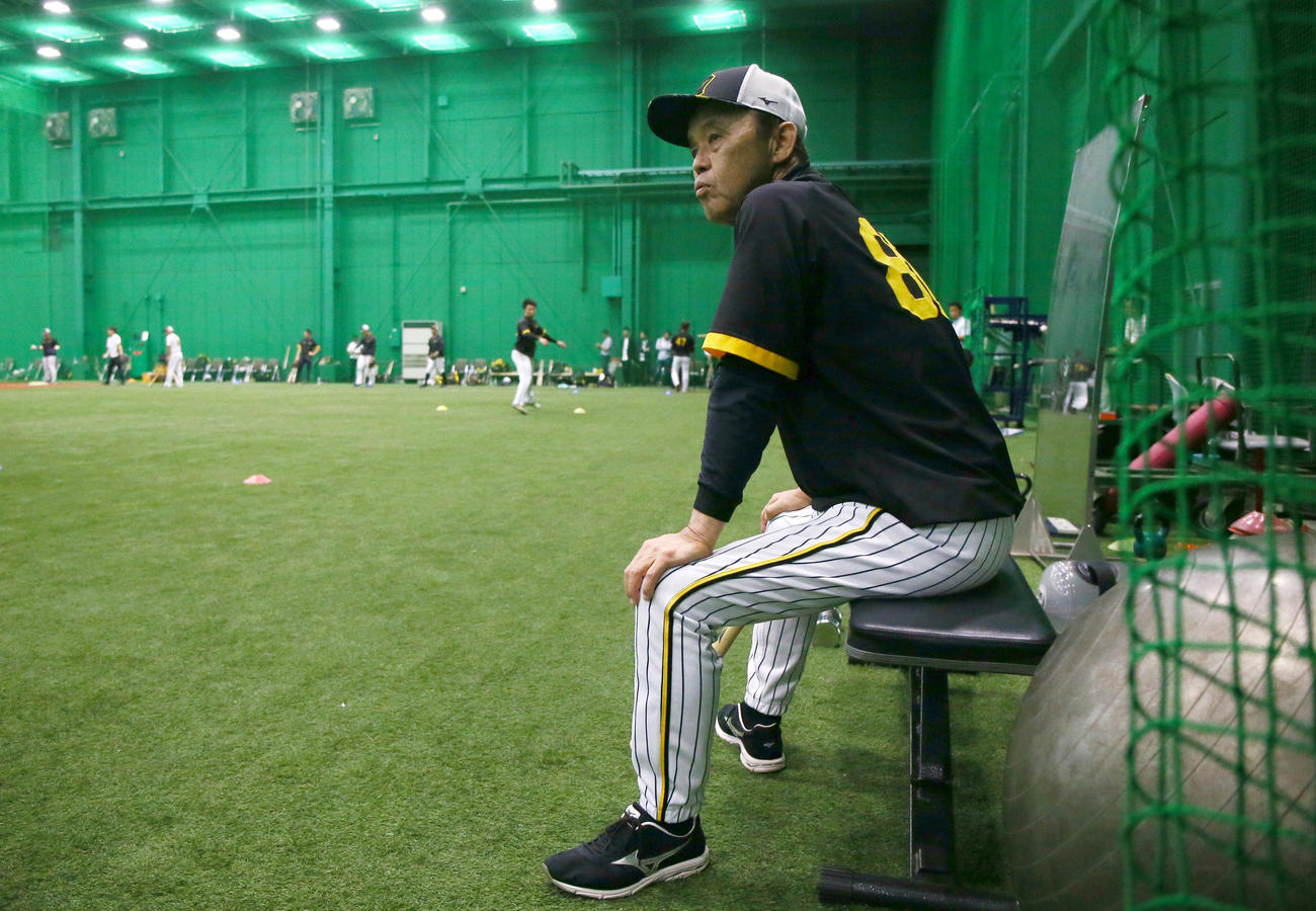 阪神対DeNA　室内練習を確認する阪神岡田監督（撮影・上山淳一）