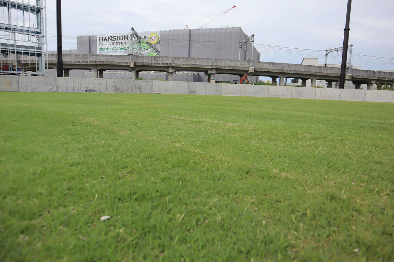 阪神2軍球場「日鉄鋼板SGスタジアム尼崎」に張られた芝生（球団提供）