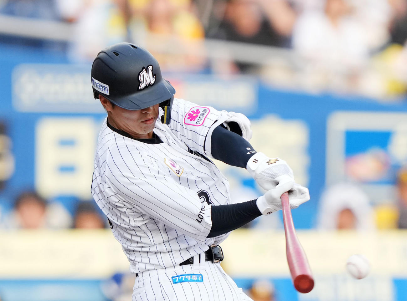 ロッテ中村奨吾（2024年6月撮影）