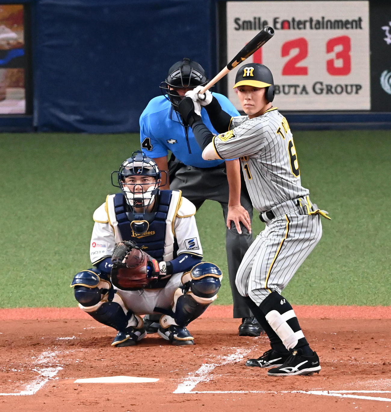 阪神豊田寛（2024年6月13日撮影）
