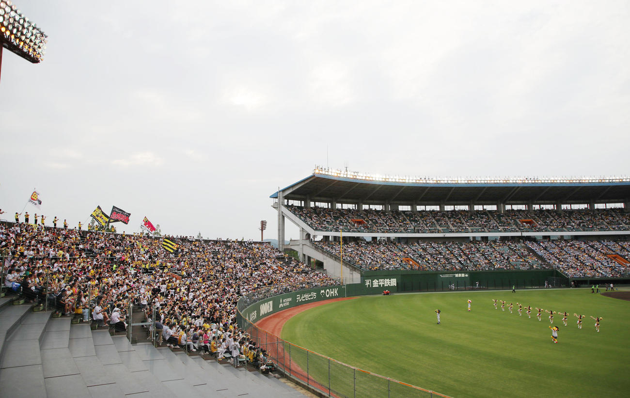 阪神対中日　試合前はタイガースガールズもダンスで球場を盛り上げた（撮影・加藤哉）