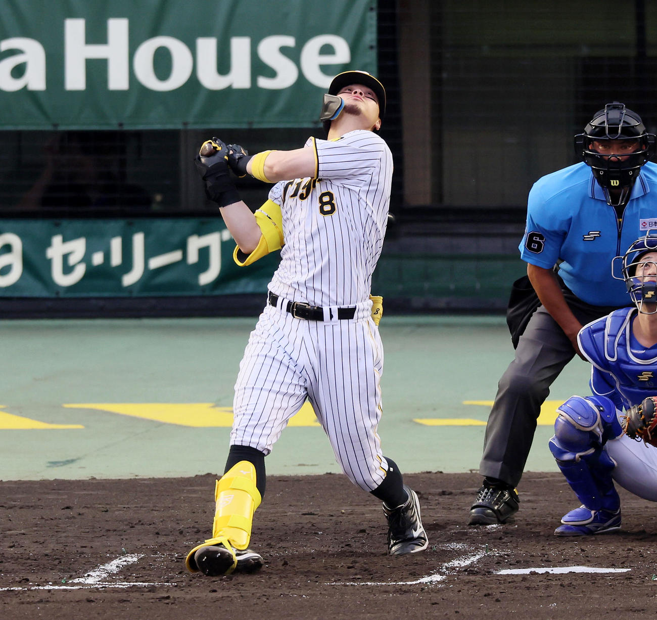 阪神対中日　2回裏阪神1死、佐藤輝は捕邪飛を打ち上げる（撮影・加藤哉）