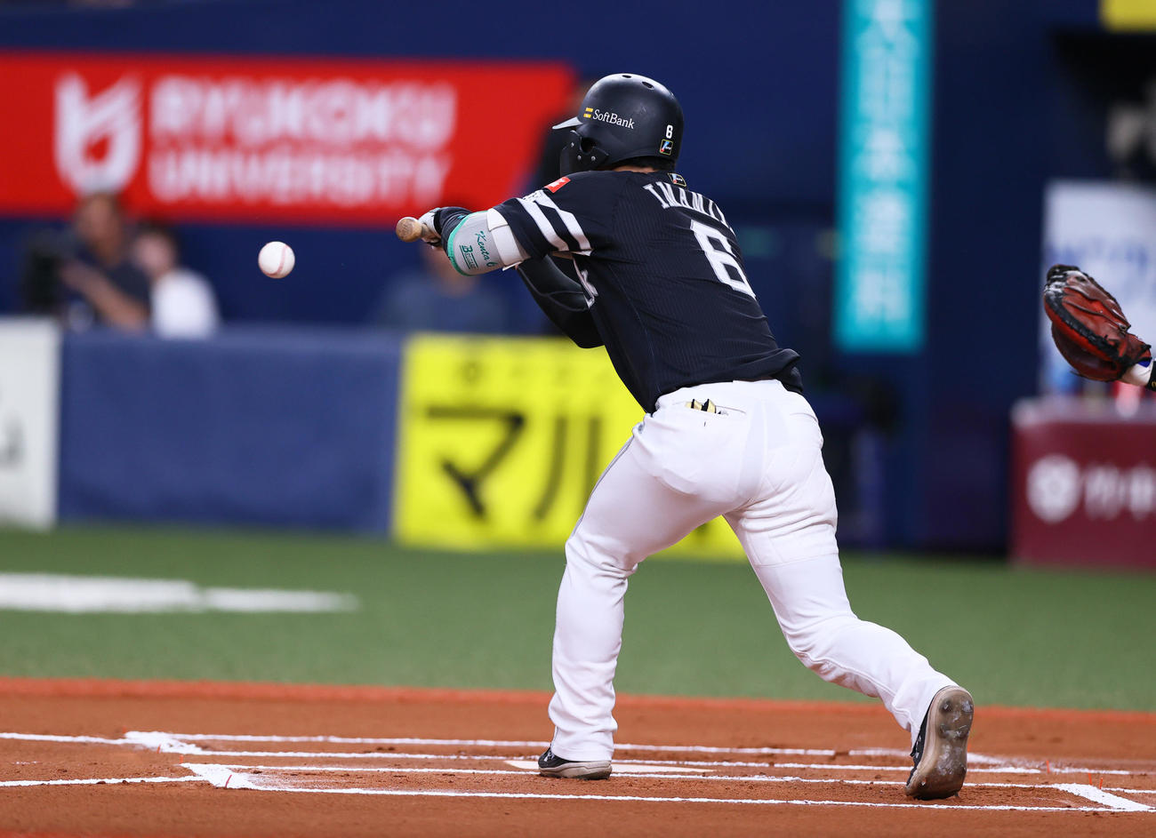 オリックス対ソフトバンク　6回表ソフトバンク無死一塁、今宮は送りバントを成功させる（撮影・上山淳一）