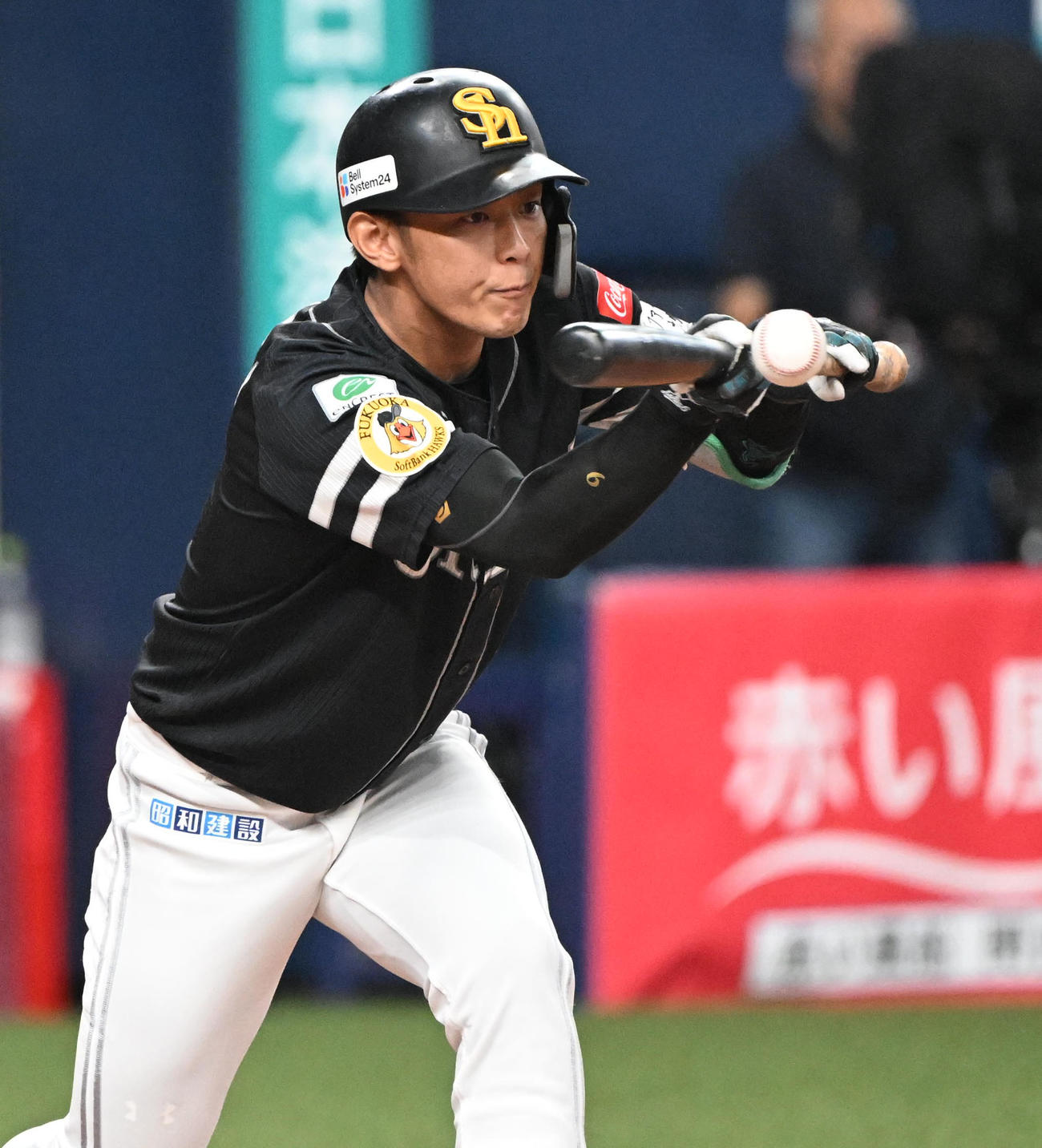 オリックス対ソフトバンク　6回表ソフトバンク無死一塁、投前犠打を決める今宮（撮影・和賀正仁）