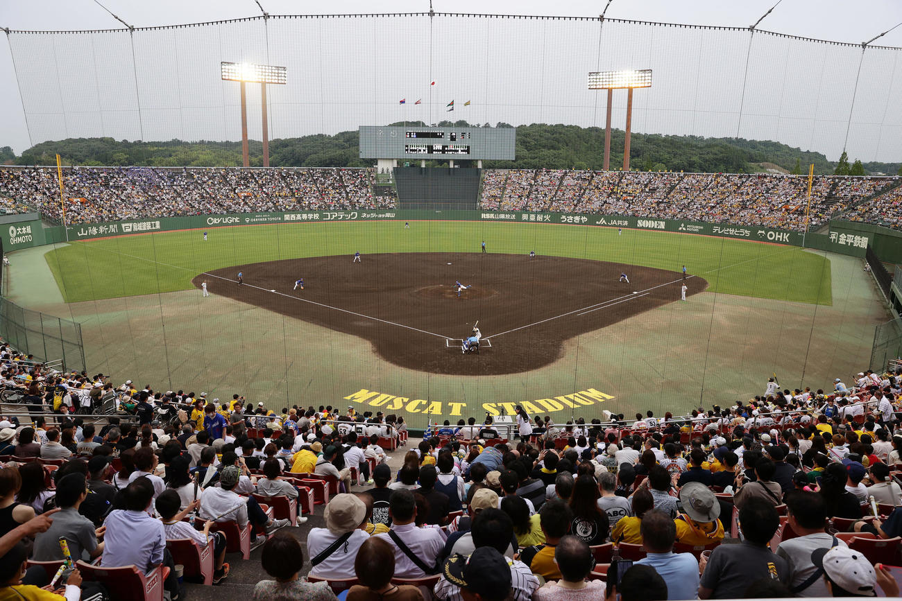 阪神対中日　多くのファンが見守る倉敷マスカットスタジアムで行われる阪神－中日戦（撮影・前田充）