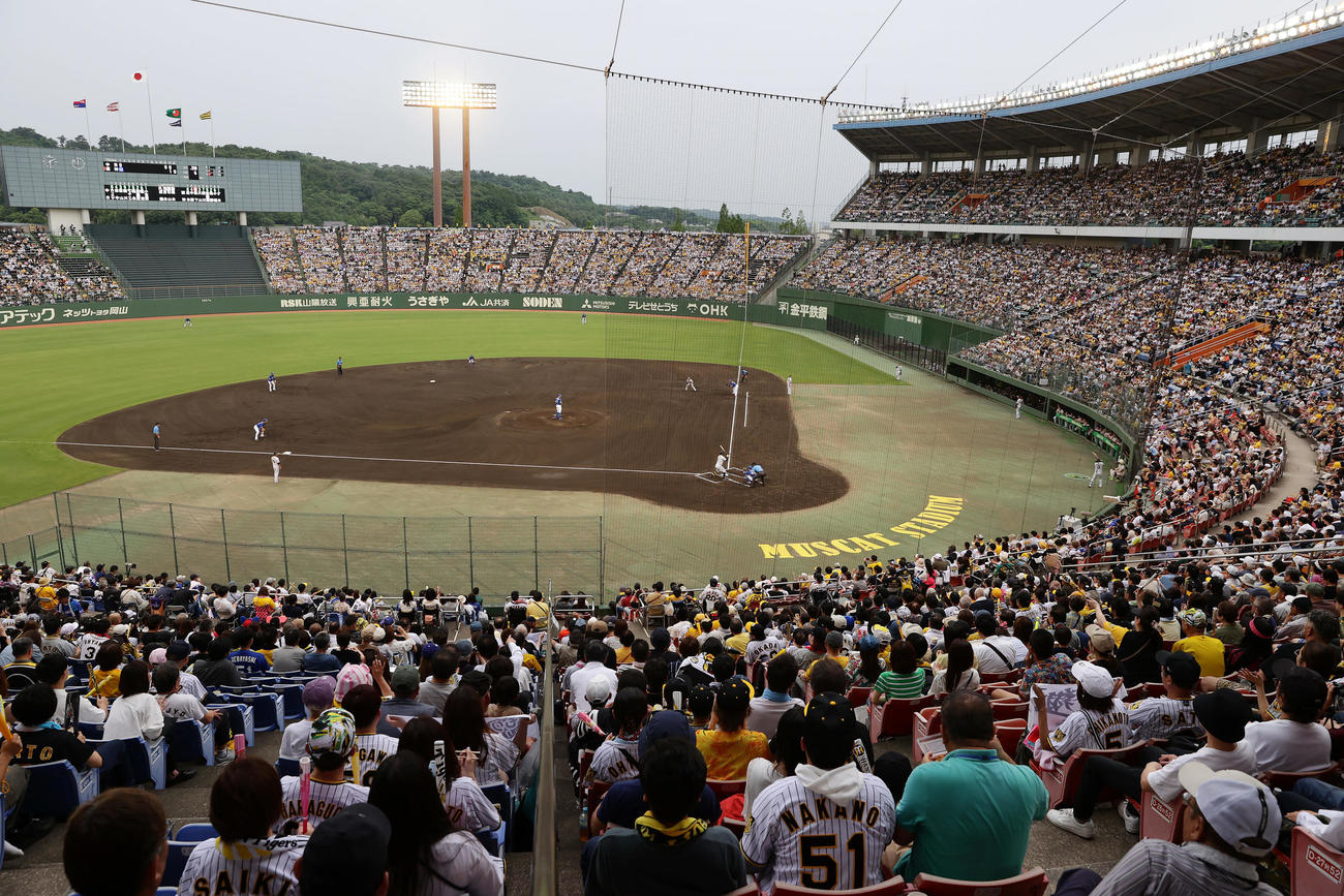 阪神対中日　多くのファンが見守る倉敷マスカットスタジアムで行われる阪神－中日戦（撮影・前田充）