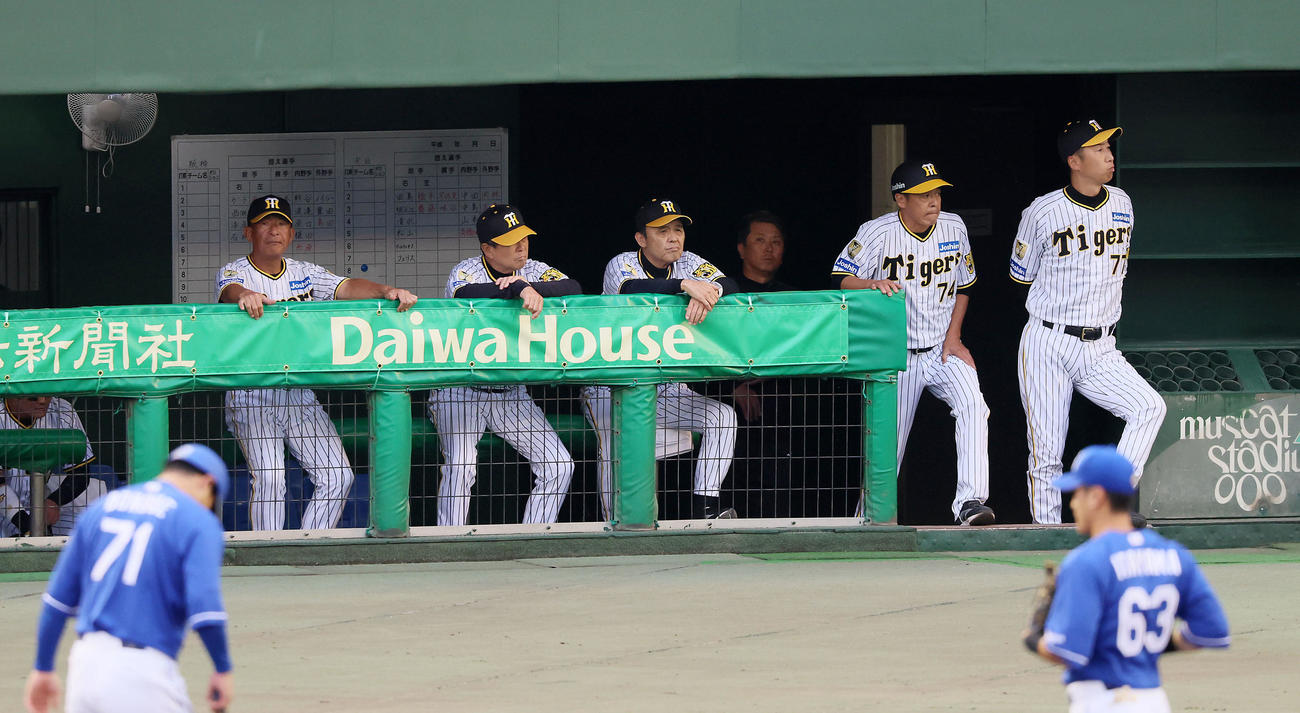 阪神対中日　2回表を終えベンチに並ぶ左から馬場コーチ、平田ヘッドコーチ、岡田監督、水口コーチ、藤本コーチ今岡コーチ（撮影・加藤哉）