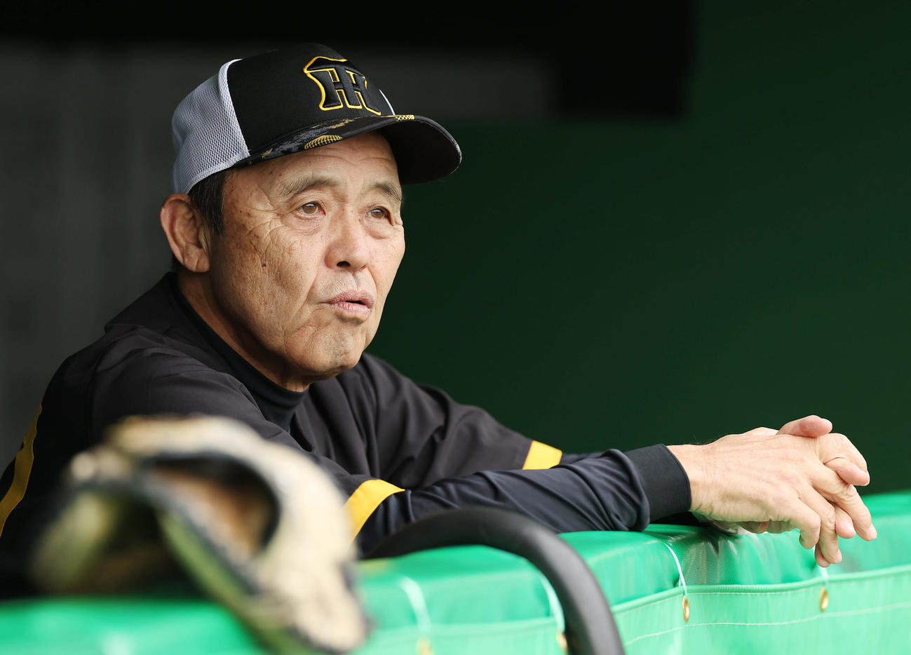 阪神対中日　練習を見守る阪神岡田監督（撮影・前田充）