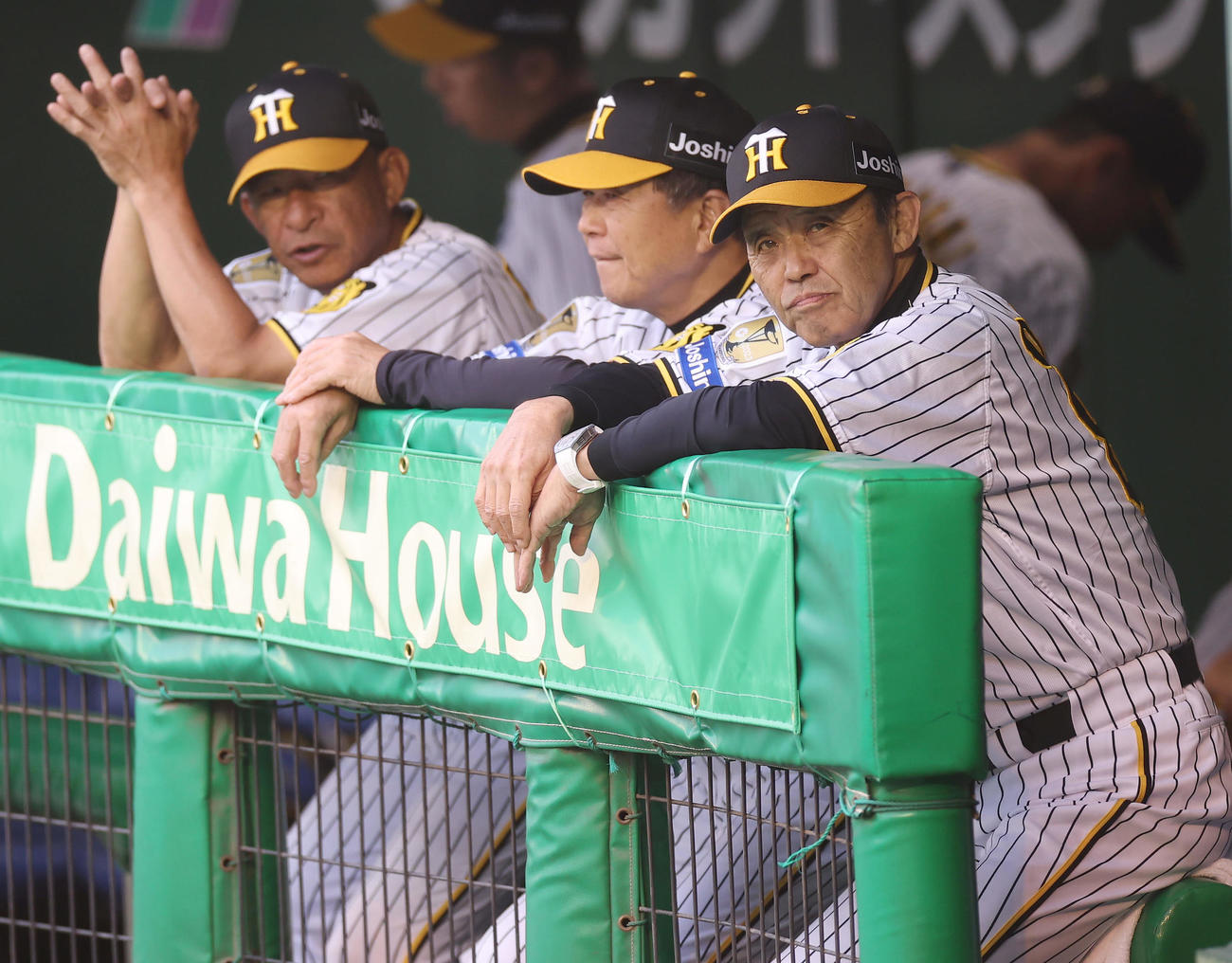 阪神対中日　2回表、戦況を見守る阪神岡田監督（右）ら（撮影・前田充）