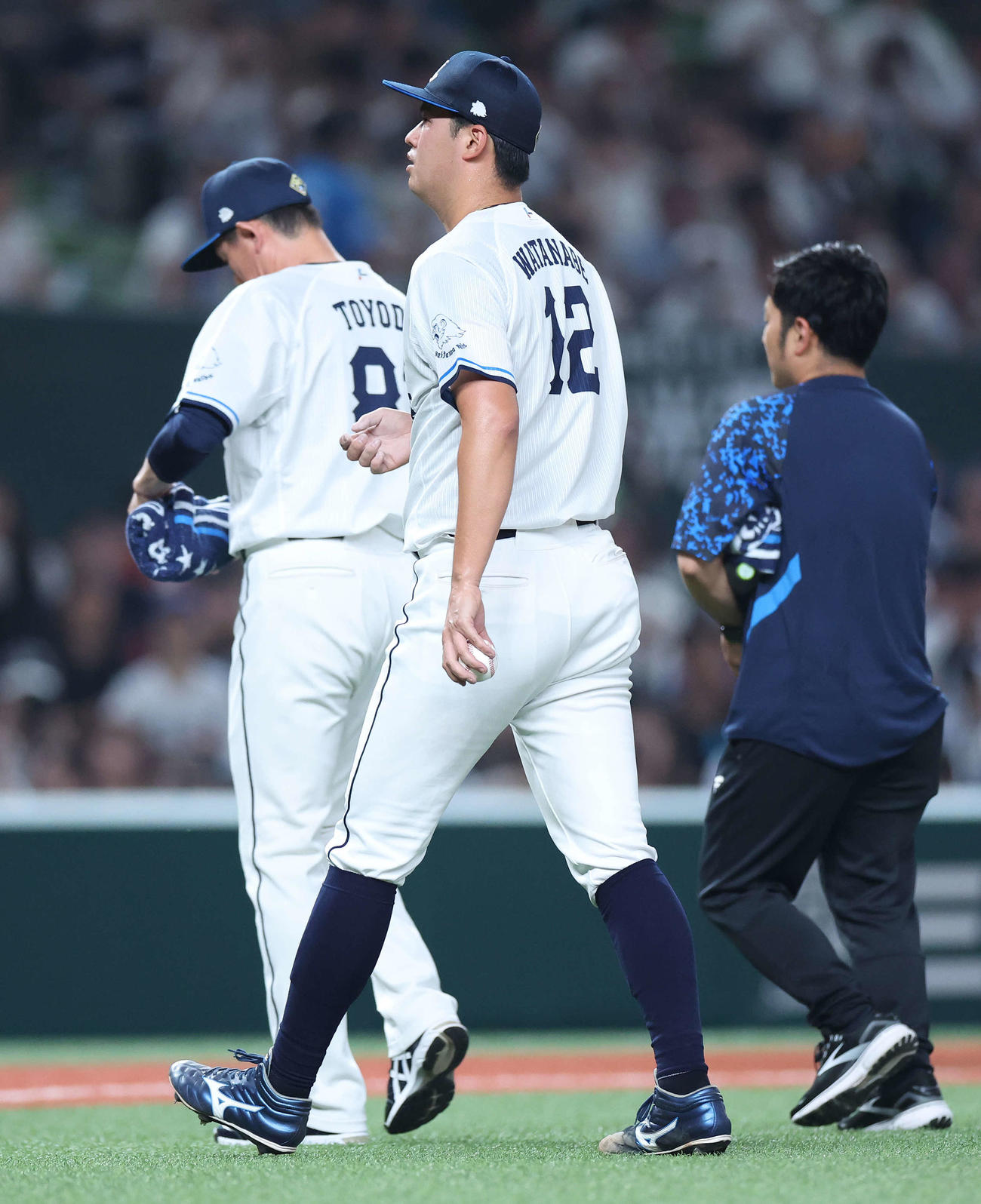 西武対日本ハム　6回表日本ハム1死二塁、治療のためベンチに下がる渡辺（撮影・河田真司）