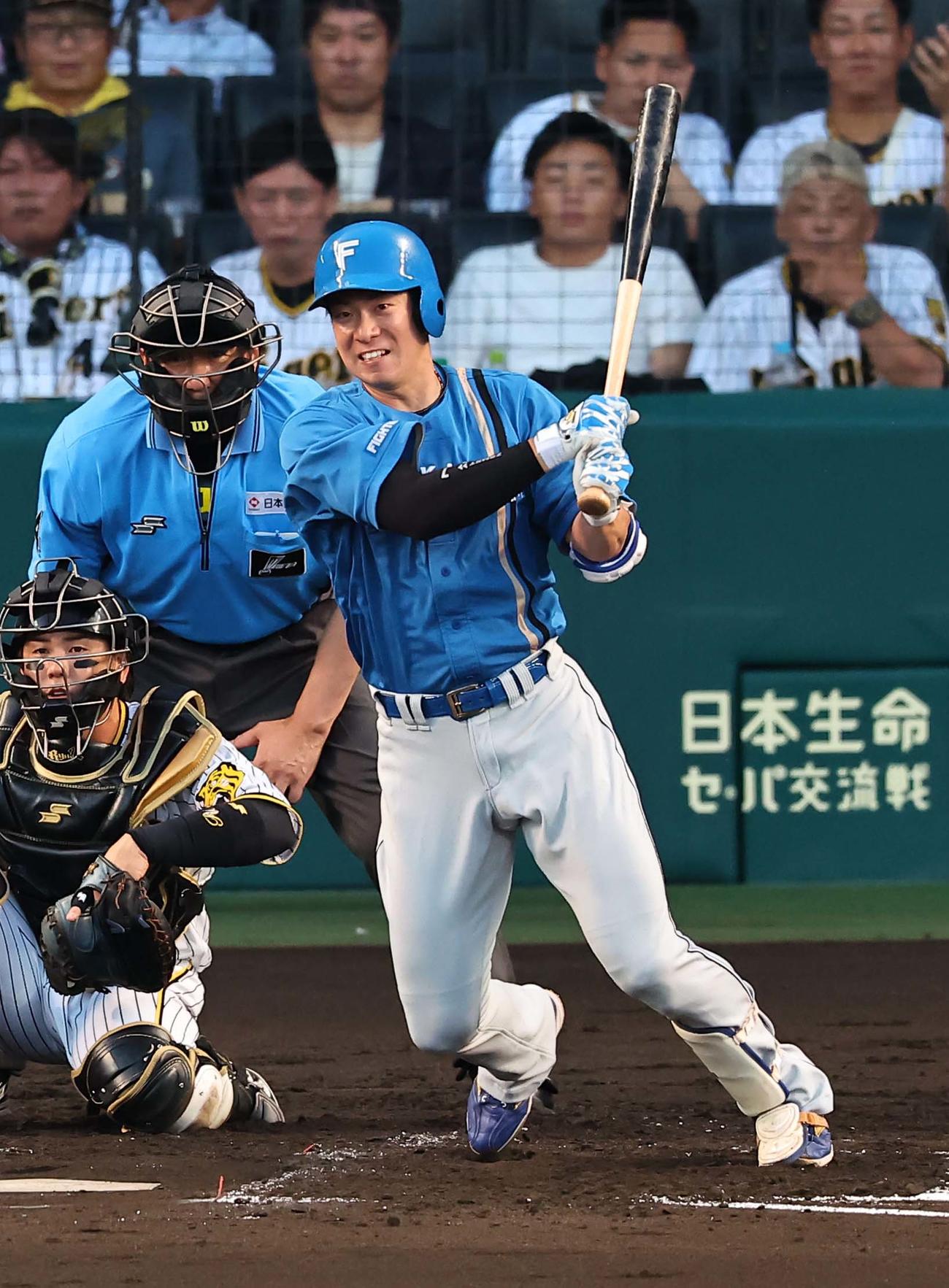 日本ハム松本剛（2024年6月18日撮影）