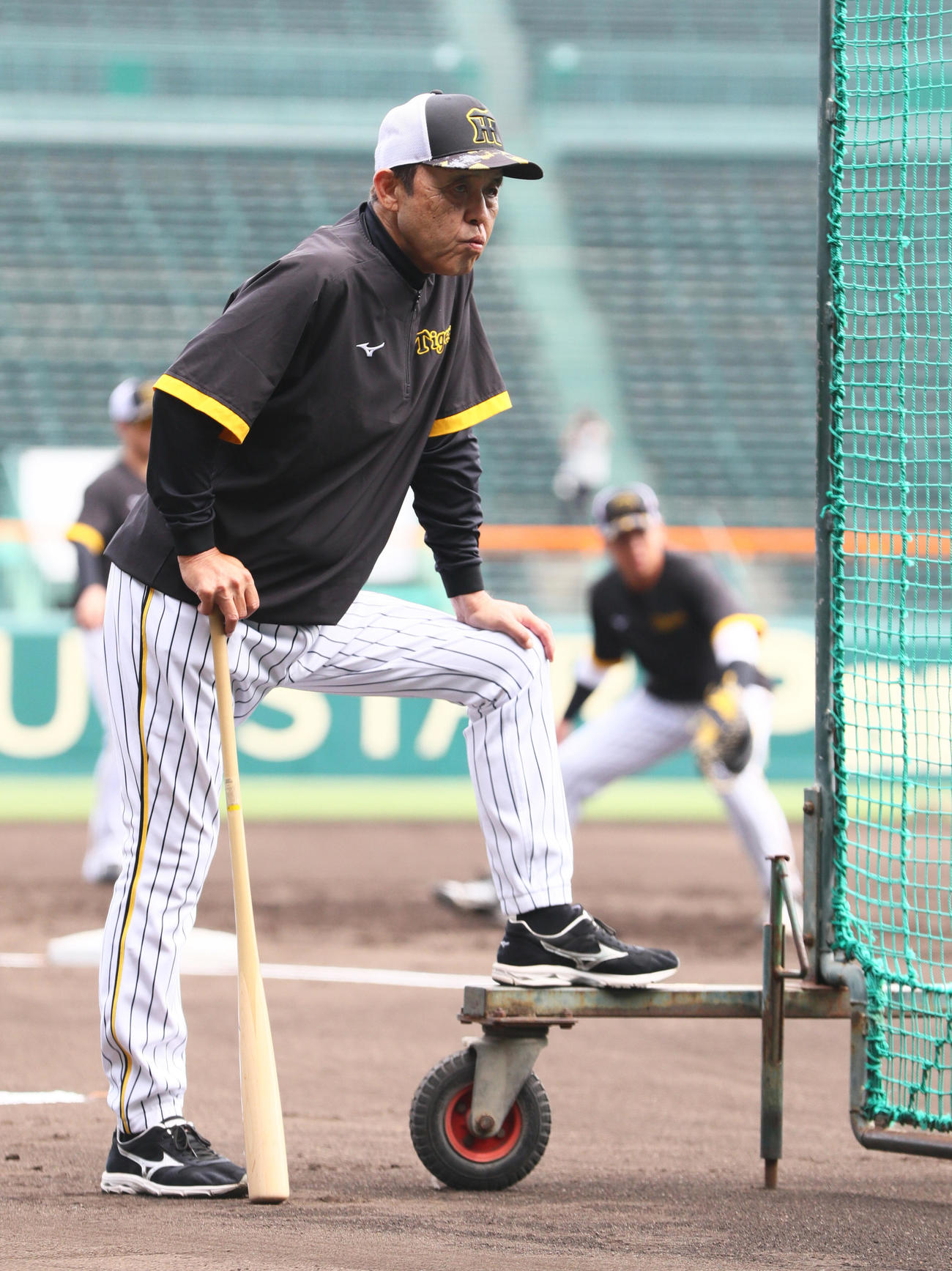 阪神対中日　試合前の練習を確認する阪神岡田監督（撮影・上山淳一）