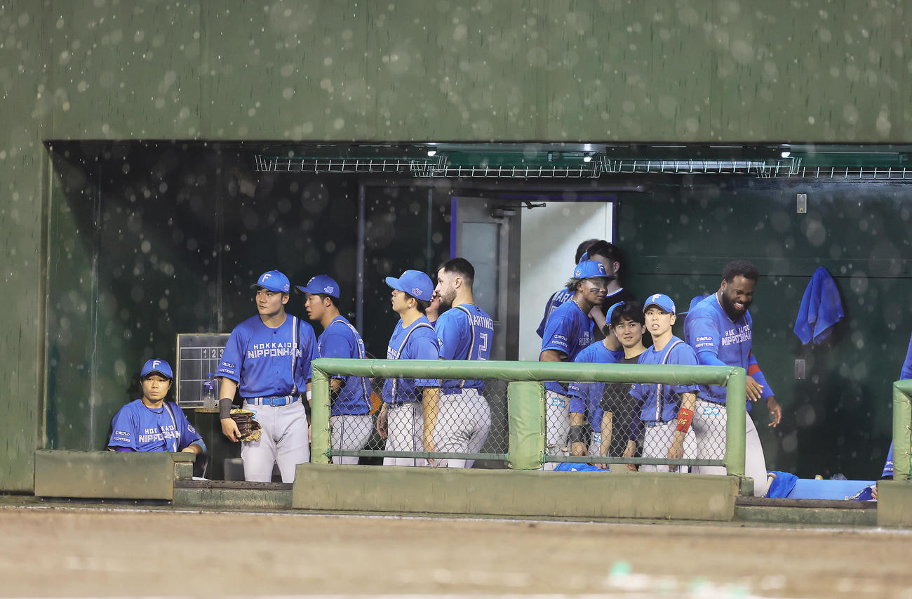 西武対日本ハム　雨のため試合が中断し、再開を待つ日本ハムの選手ら（撮影・足立雅史）