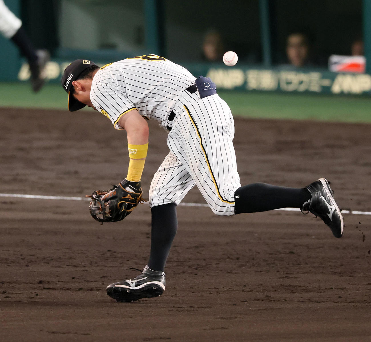 阪神対中日　112回表中日無死、佐藤輝は福永の打球を捕球出来ずエラーとなる（撮影・加藤哉）
