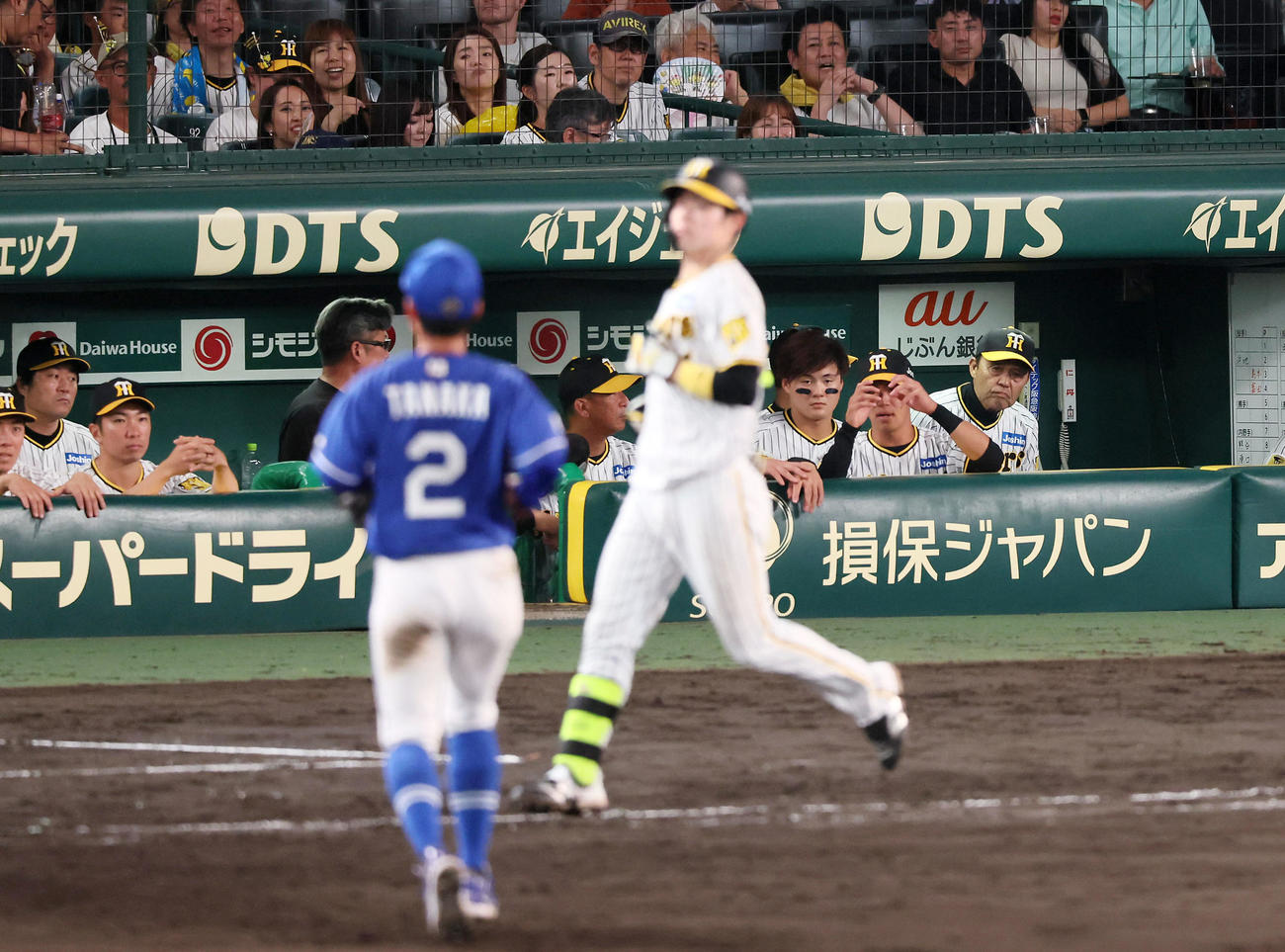 阪神対中日　12回裏阪神2死、中野の二ゴロで引き分けに終わりベンチからグラウンドを見る岡田監督（右）（撮影・加藤哉）