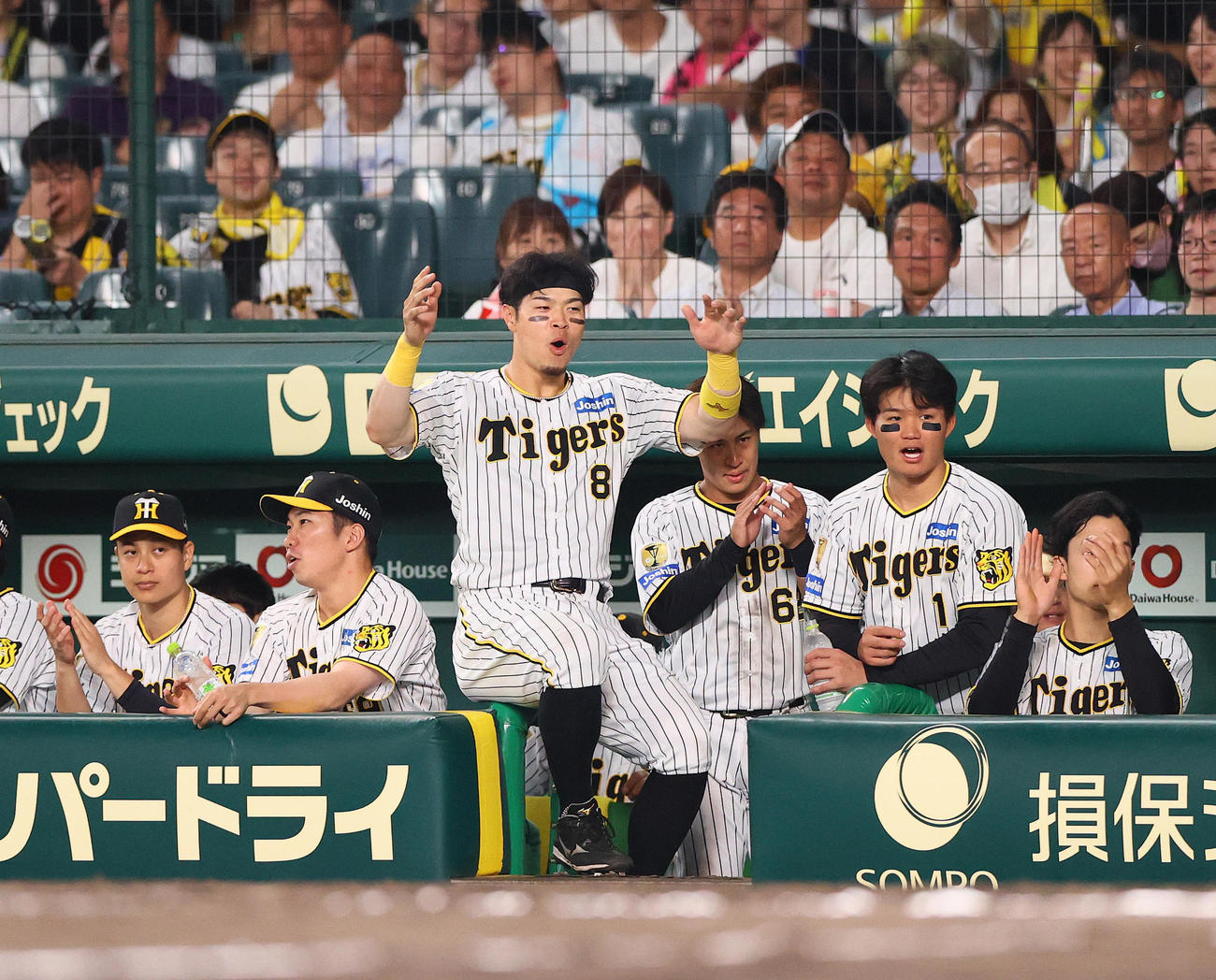 阪神対中日　10回裏阪神2死二塁、代打豊田寛の打席で声を出す佐藤輝（左から3人目）ら（撮影・上山淳一）