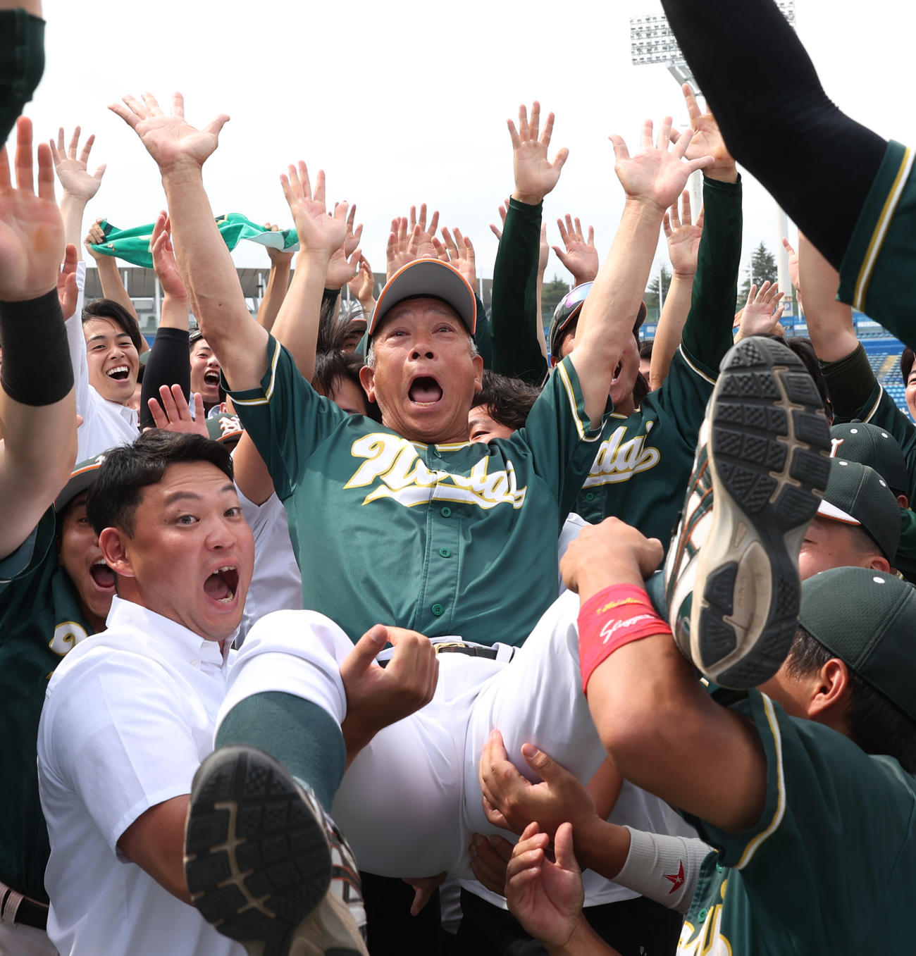駒大を破り31年ぶりに1部復帰を決めた東農大ナインは北口監督を胴上げする（撮影・柴田隆二）