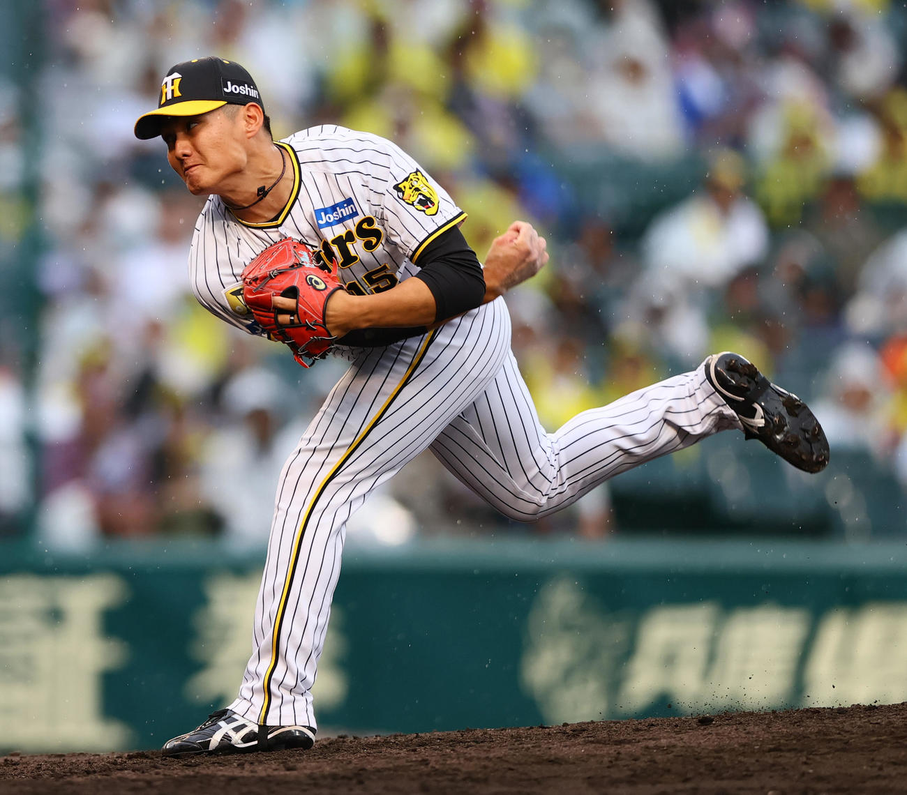阪神西純矢（2024年6月22日）