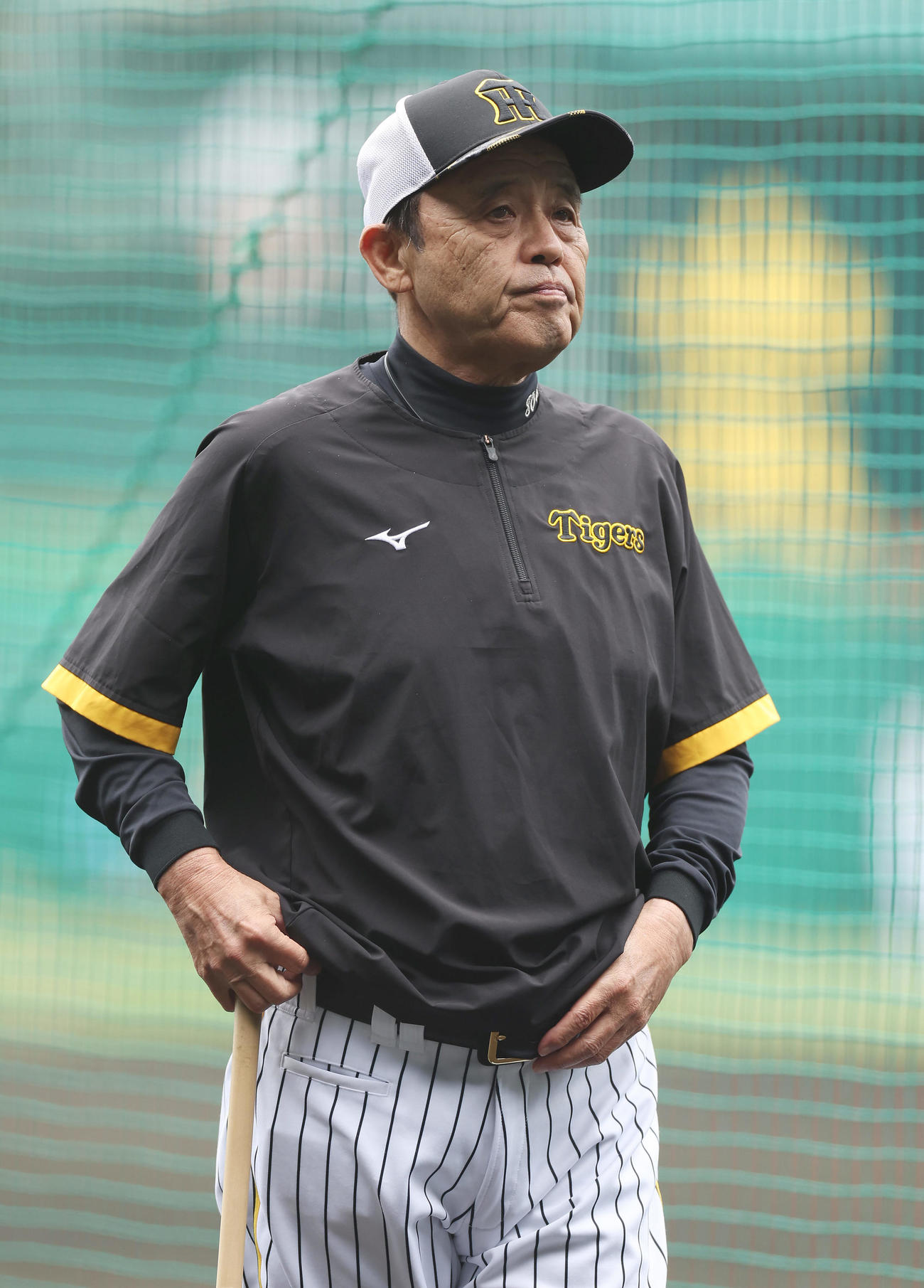 阪神対中日　試合前練習を見守る阪神岡田監督（撮影・前田充）