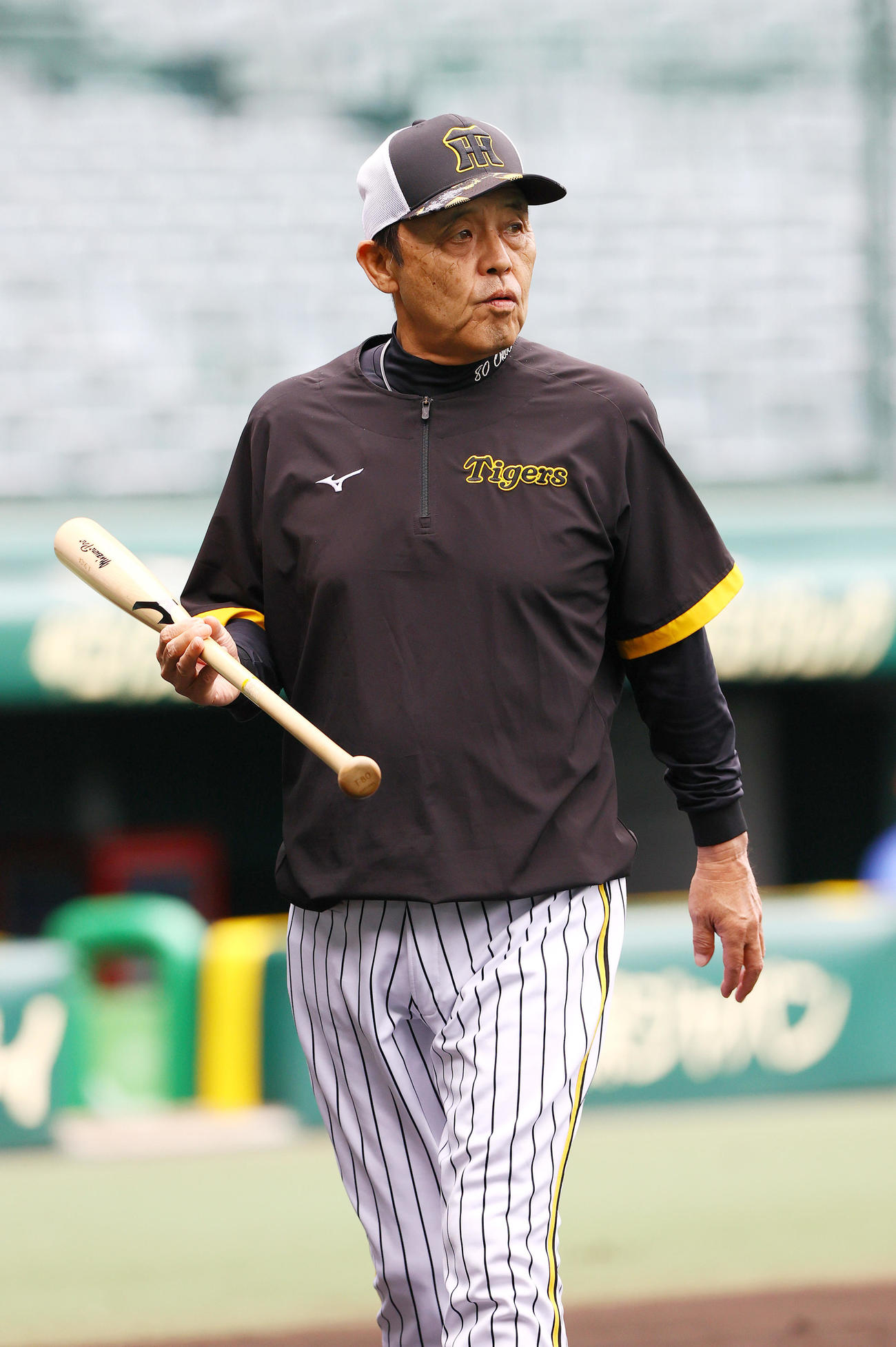 阪神対中日　試合前の練習を確認する阪神岡田監督（撮影・上山淳一）