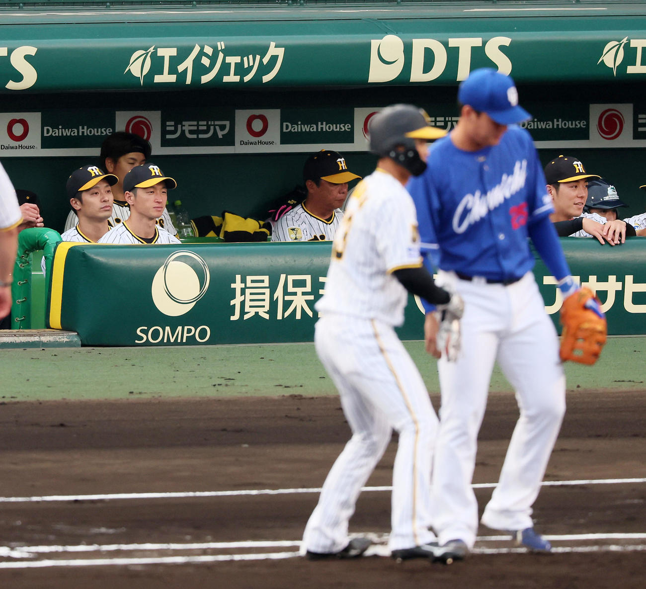 阪神対中日　1回裏阪神無死一塁、ベンチからグラウンドを見る近本（左から2人目）。一塁走者は島田（撮影・加藤哉）