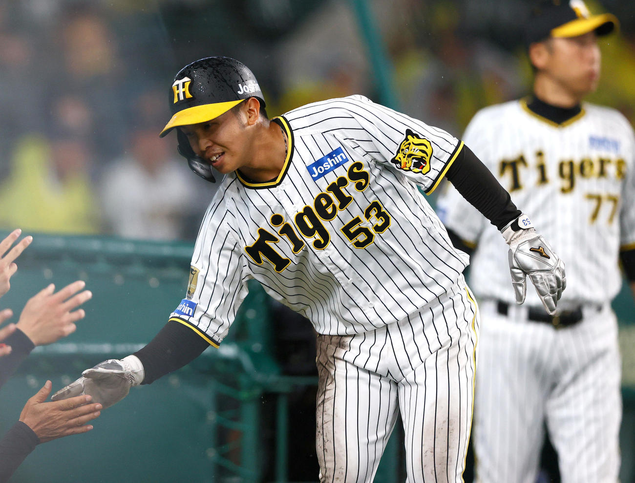 阪神対中日　8回裏阪神無死一、二塁、島田は森下の左適時二塁打で生還しナインの出迎えを受ける（撮影・上山淳一）