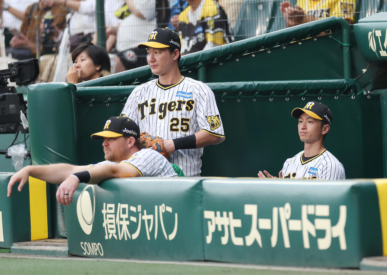 阪神対中日　1回表、スタメンを外れベンチから試合を見守る阪神近本（右）（撮影・前田充）