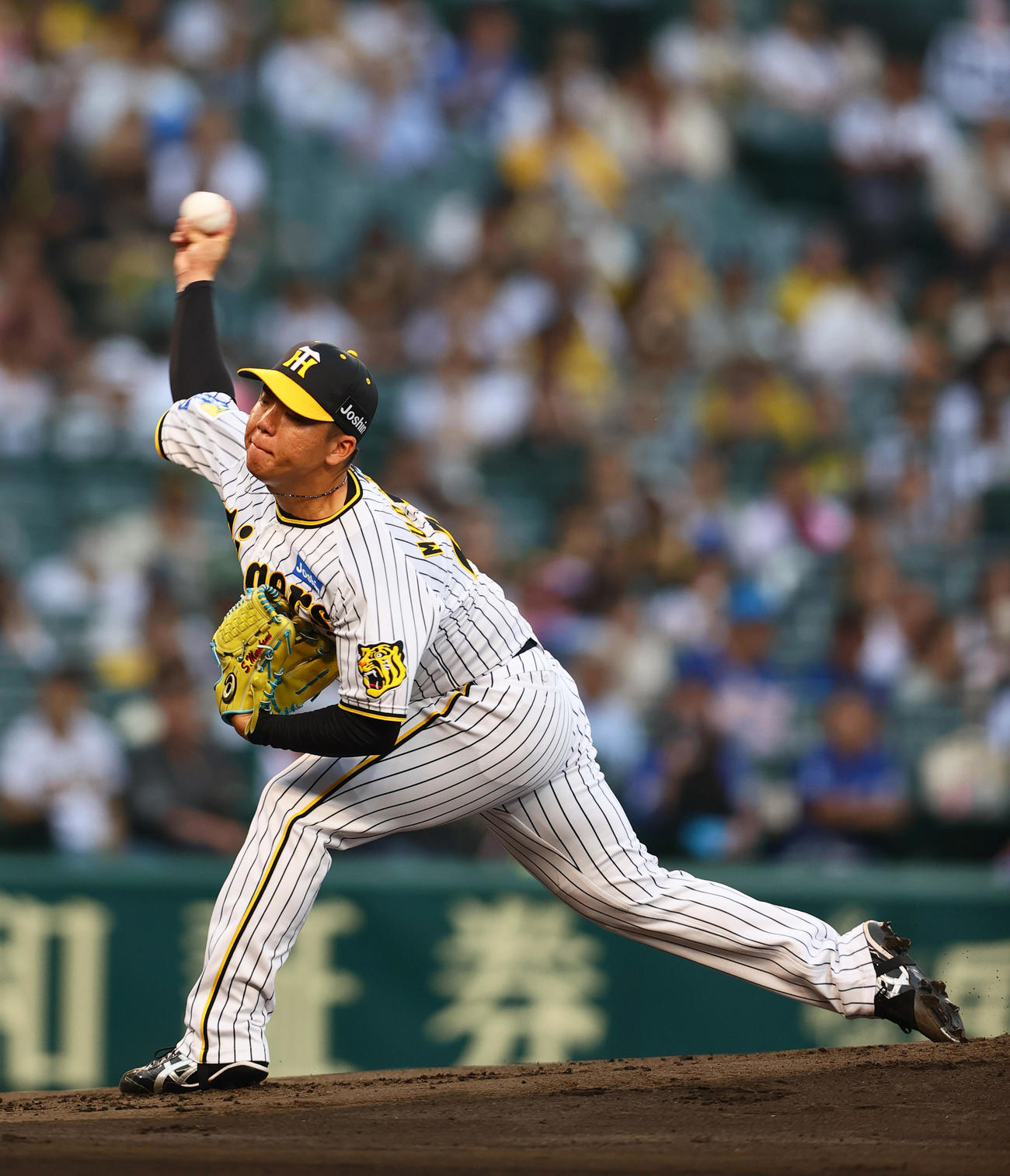 阪神対中日　阪神先発の村上（撮影・上山淳一）