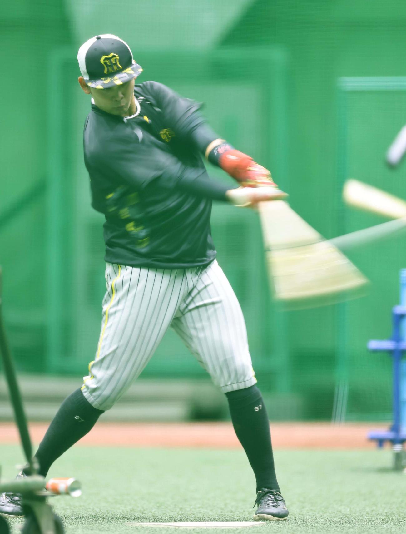 打撃練習をする野口（撮影・上田博志）