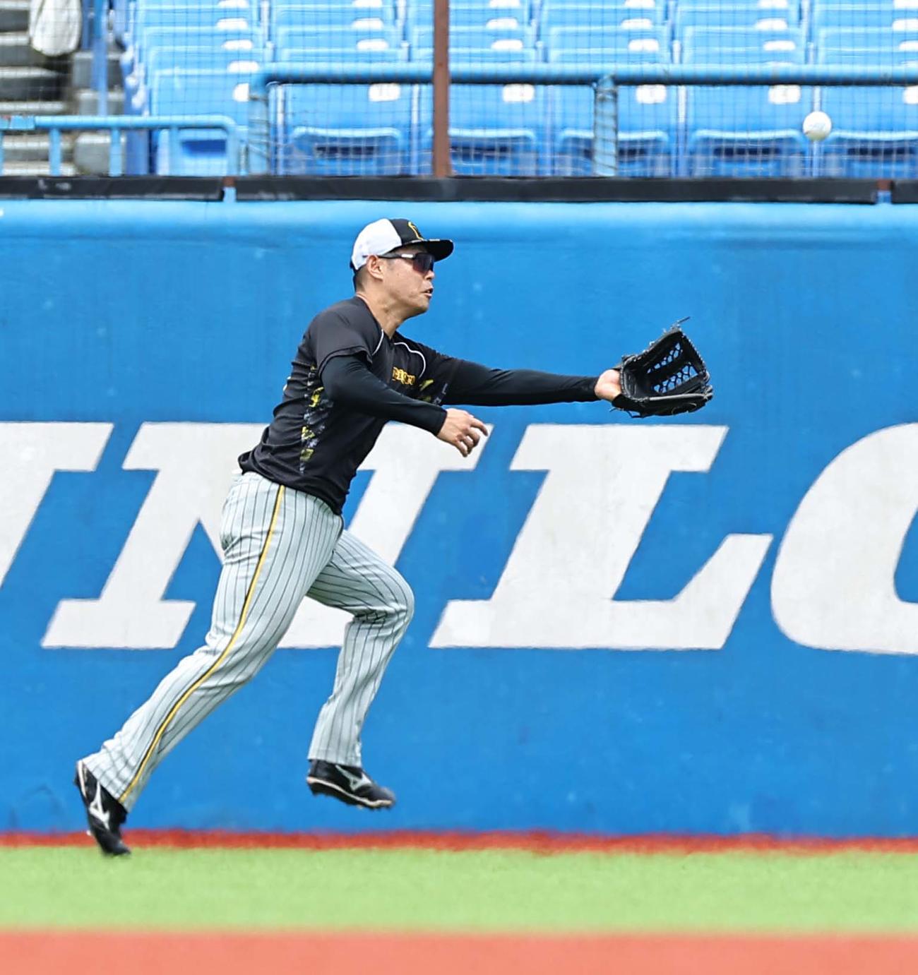 ヤクルト対阪神　右翼守備練習をする原口（撮影・上田博志）