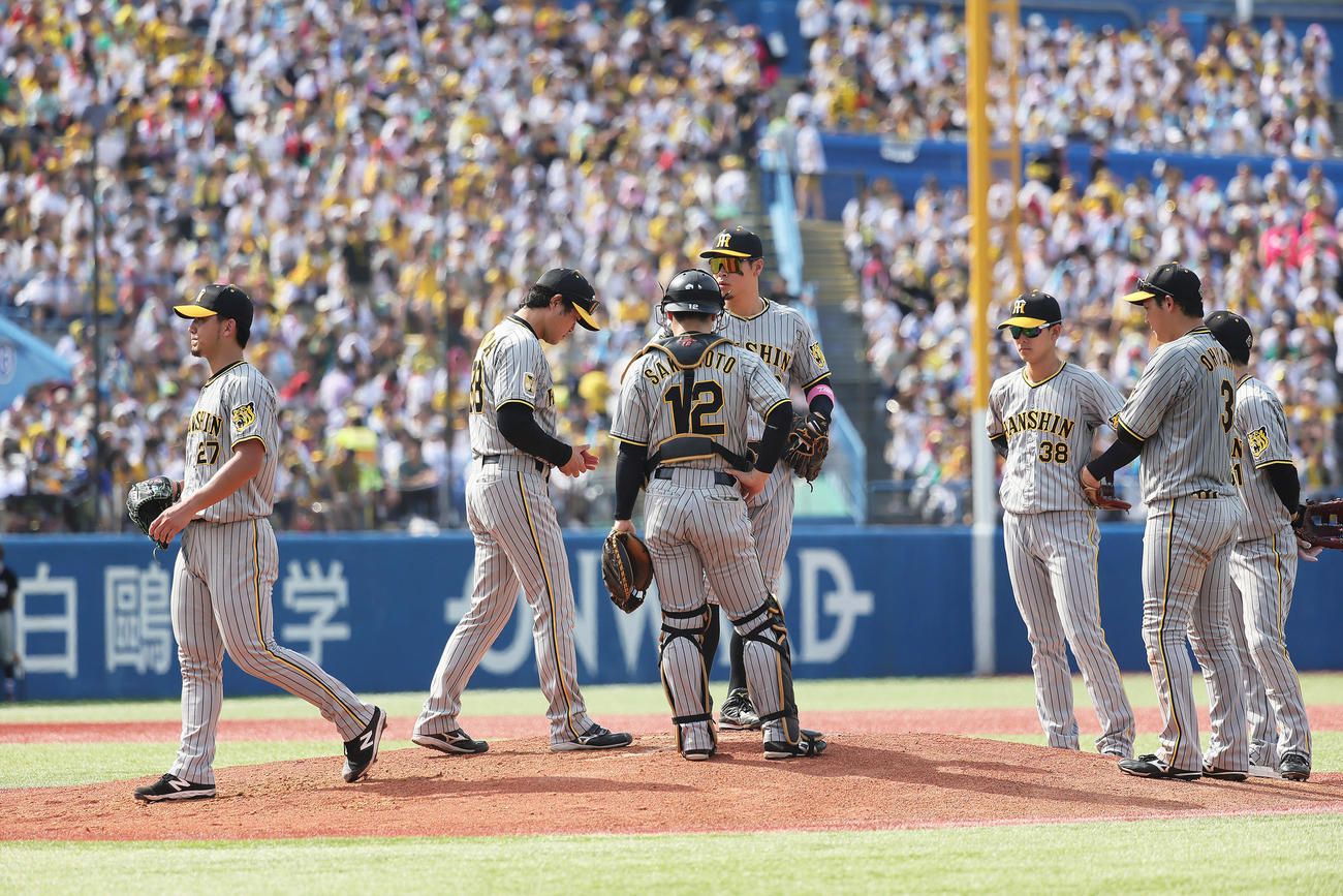 ヤクルト対阪神　3回途中で降板する阪神伊藤将（左端）（撮影・足立雅史）