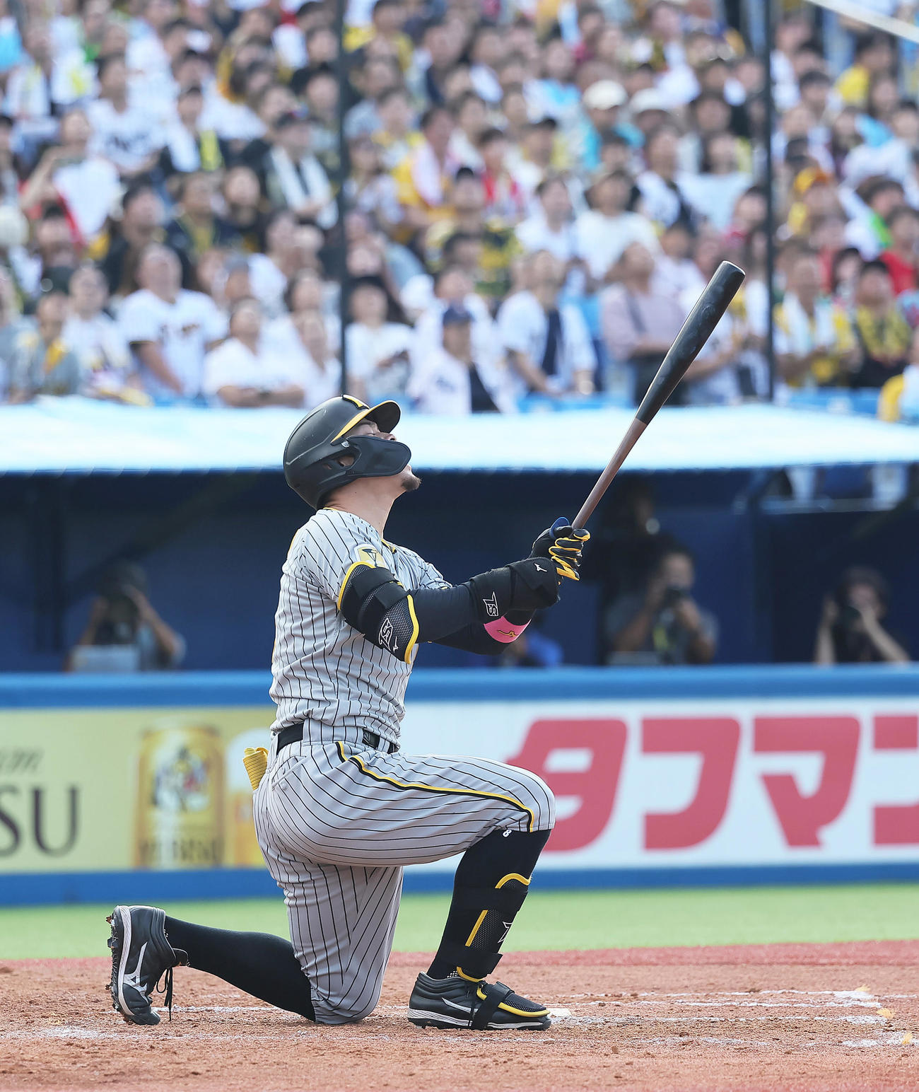 ヤクルト対阪神　8回表阪神1死一塁、佐藤輝は三邪飛に倒れる（撮影・足立雅史）