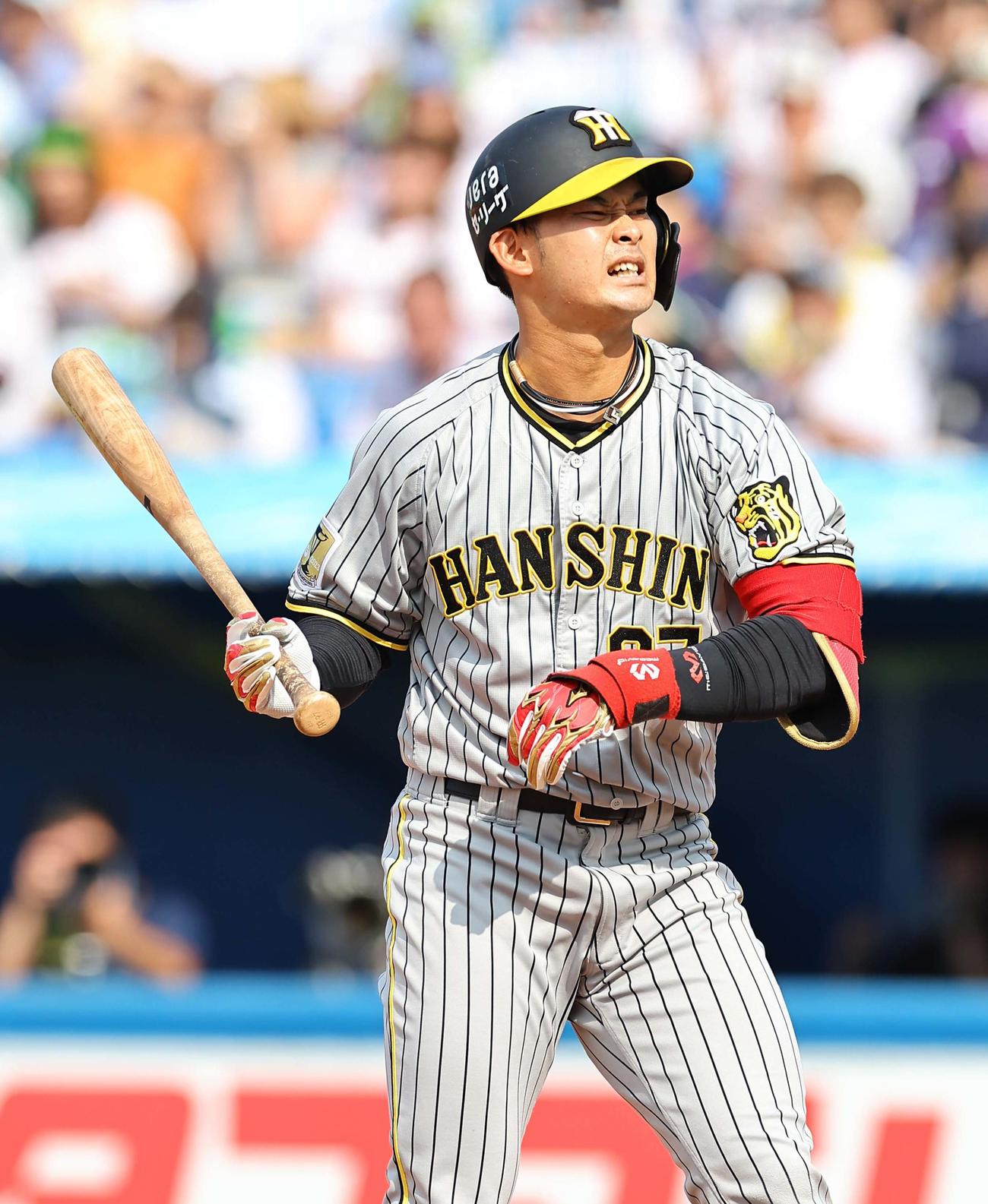 ヤクルト対阪神　5回表阪神2死、代打野口は死球を受ける（撮影・上田博志）