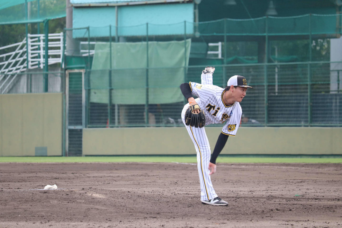 シート打撃に登板した阪神及川雅貴投手（撮影・波部俊之介）