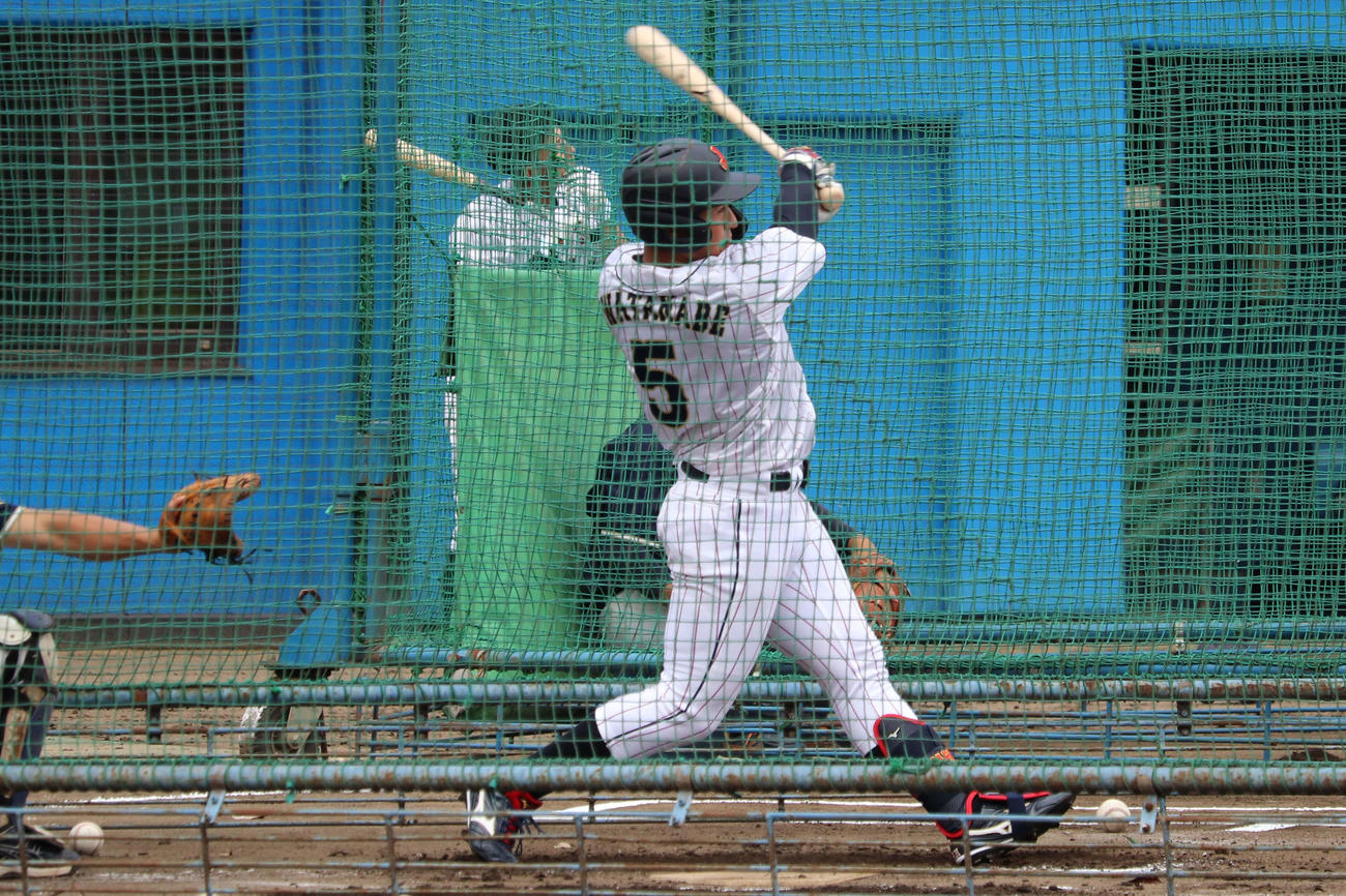 侍ジャパン大学代表選手選考合宿初日　打撃練習で、豪快なスイングを見せる大商大の渡部（撮影・保坂淑子）