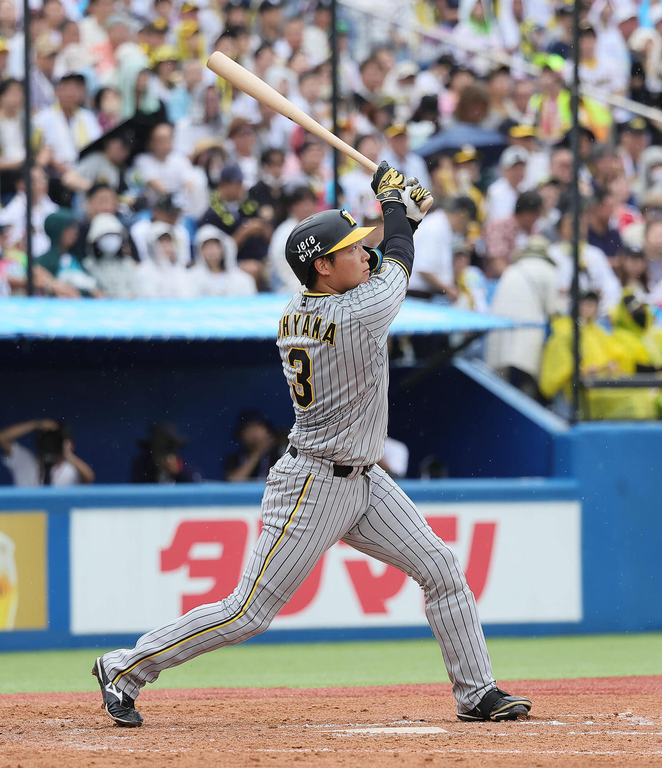 ヤクルト対阪神　4回表阪神1死、大山は先制本塁打を放つ（撮影・足立雅史）