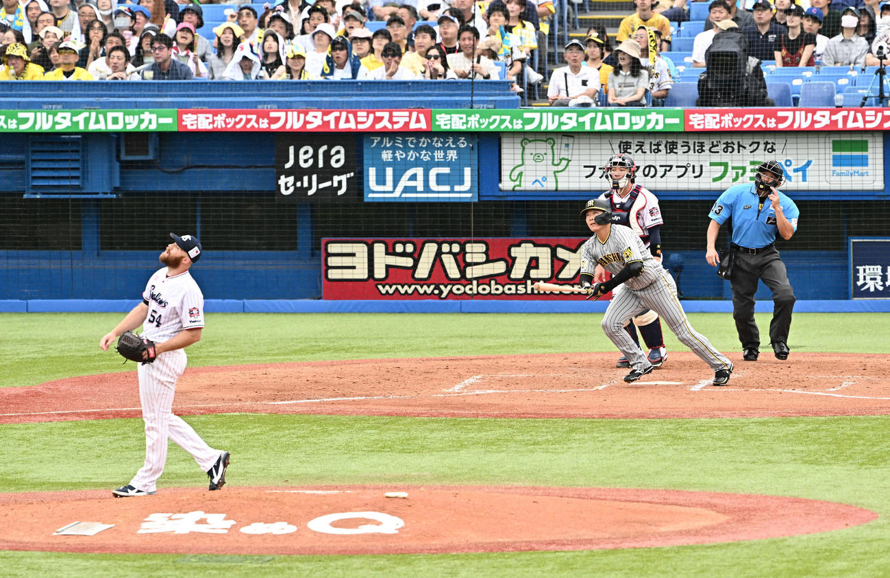 ヤクルト対阪神　4回表阪神1死、大山は右中間へ先制ソロ本塁打を放つ。投手サイスニード（撮影・滝沢徹郎）　