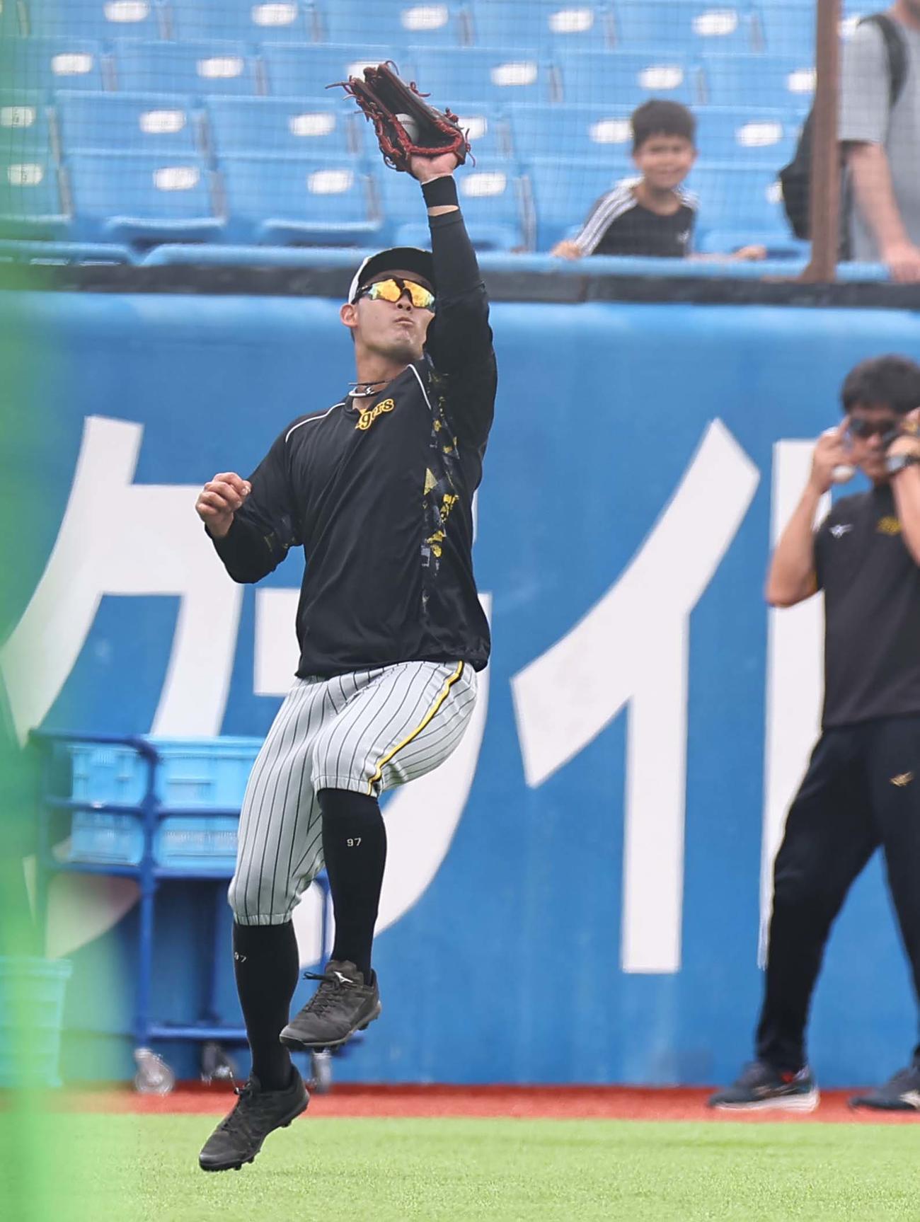 ヤクルト対阪神　左翼守備練習をする野口（撮影・上田博志）