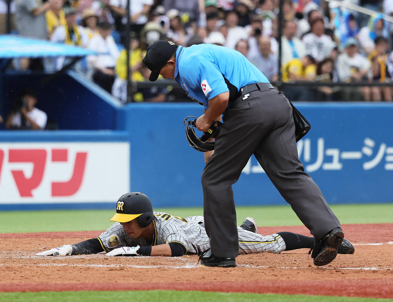 ヤクルト対阪神　9回表阪神2死一塁、佐藤輝の左二塁打で本塁を狙った代走植田はアウトとなる（撮影・足立雅史）