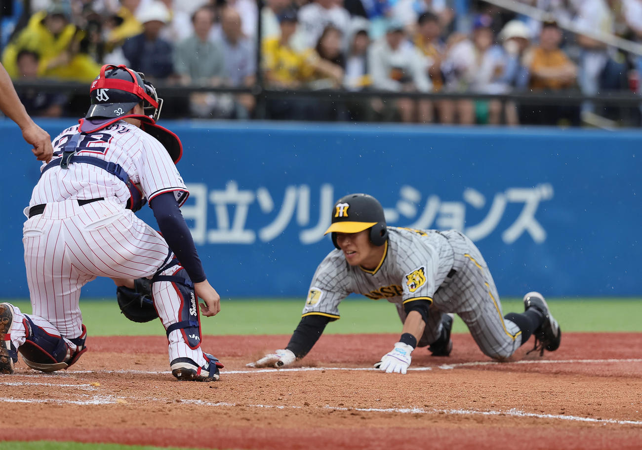 ヤクルト対阪神　9回表阪神2死一塁、佐藤輝の左二塁打で本塁を狙った代走植田（右）はアウトとなる。捕手松本直（撮影・足立雅史）