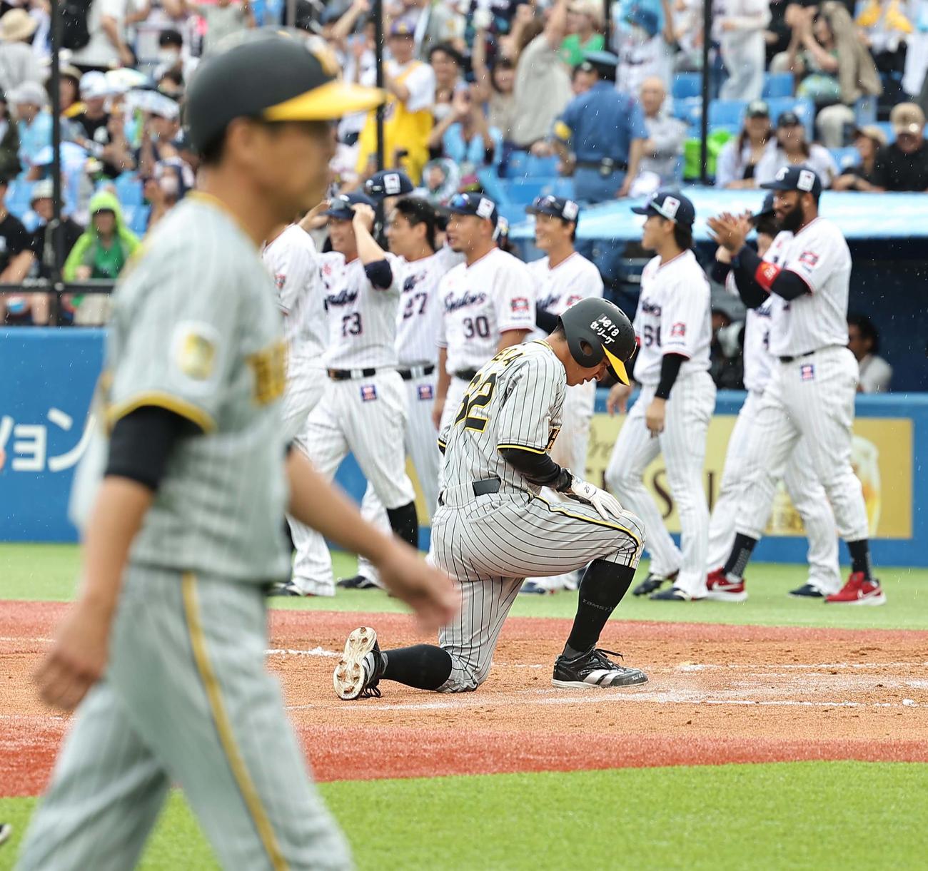 ヤクルト対阪神　9回表阪神2死一塁、植田は佐藤輝の左越え二塁打で生還を狙うも憤死する。左は藤本コーチ（撮影・上田博志）