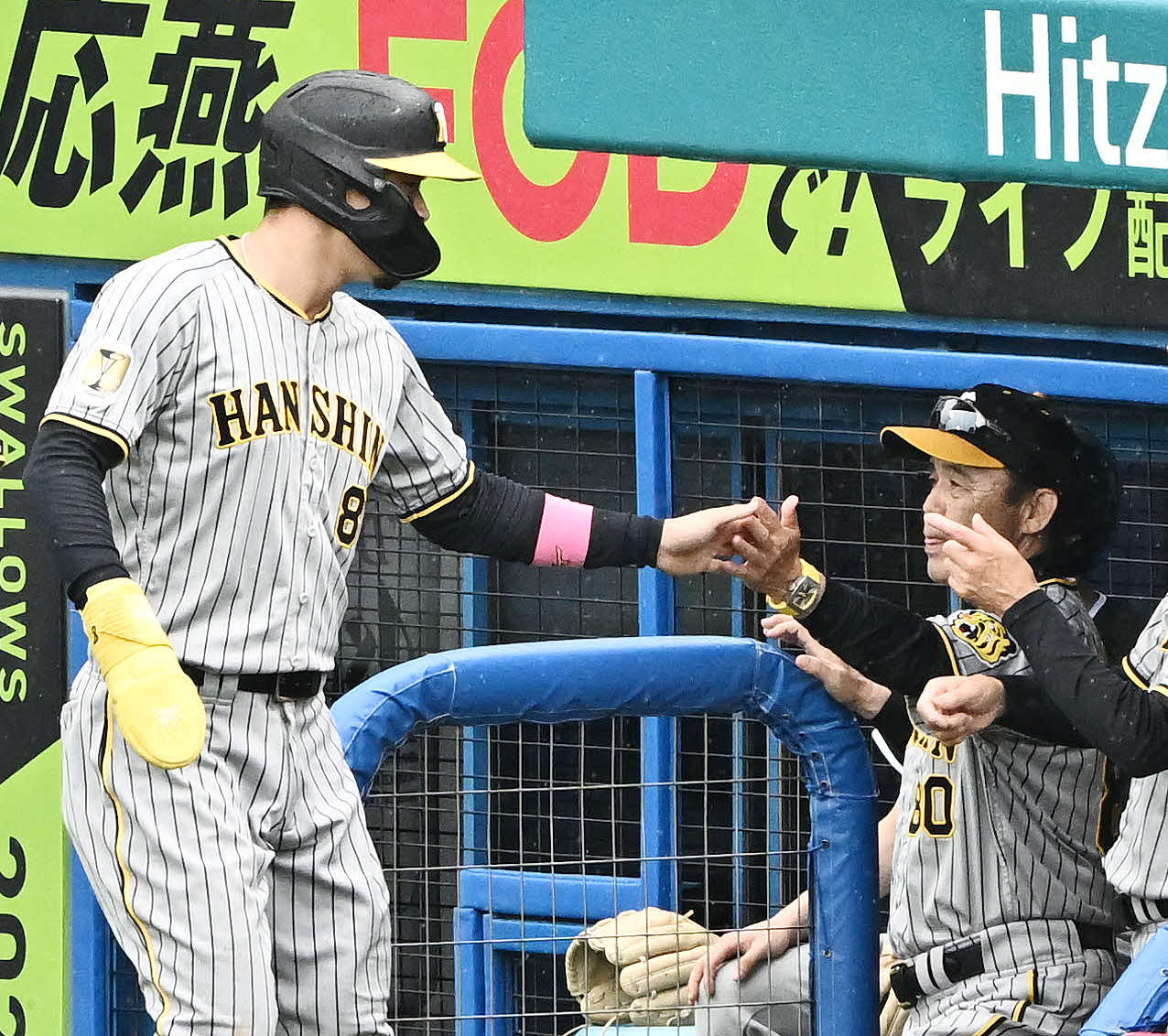 ヤクルト対阪神　6回表阪神2死二塁、梅野の適時打で生還した佐藤輝（左）は岡田監督とタッチをかわす（撮影・滝沢徹郎）　